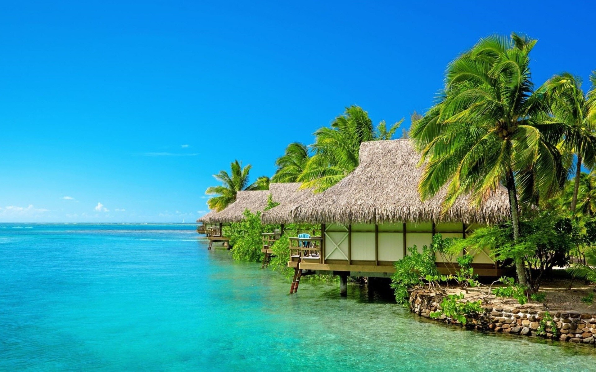 Maldive, Bungalow, Palme, Mare turchese, Full HD, sfondo per PC e portatile