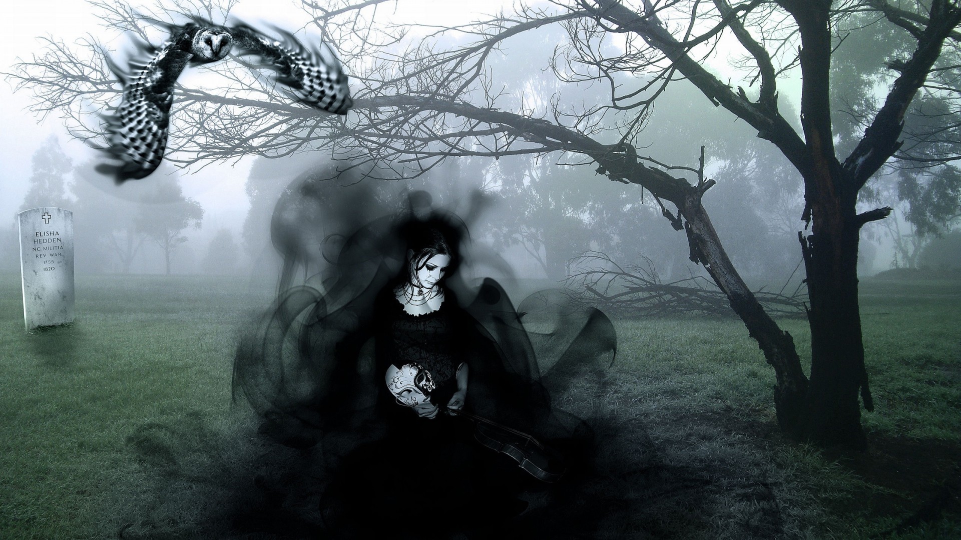 Donna in nero, Cimitero, Nebbia, Gufo, Albero spoglio, Full HD, sfondo per portatile