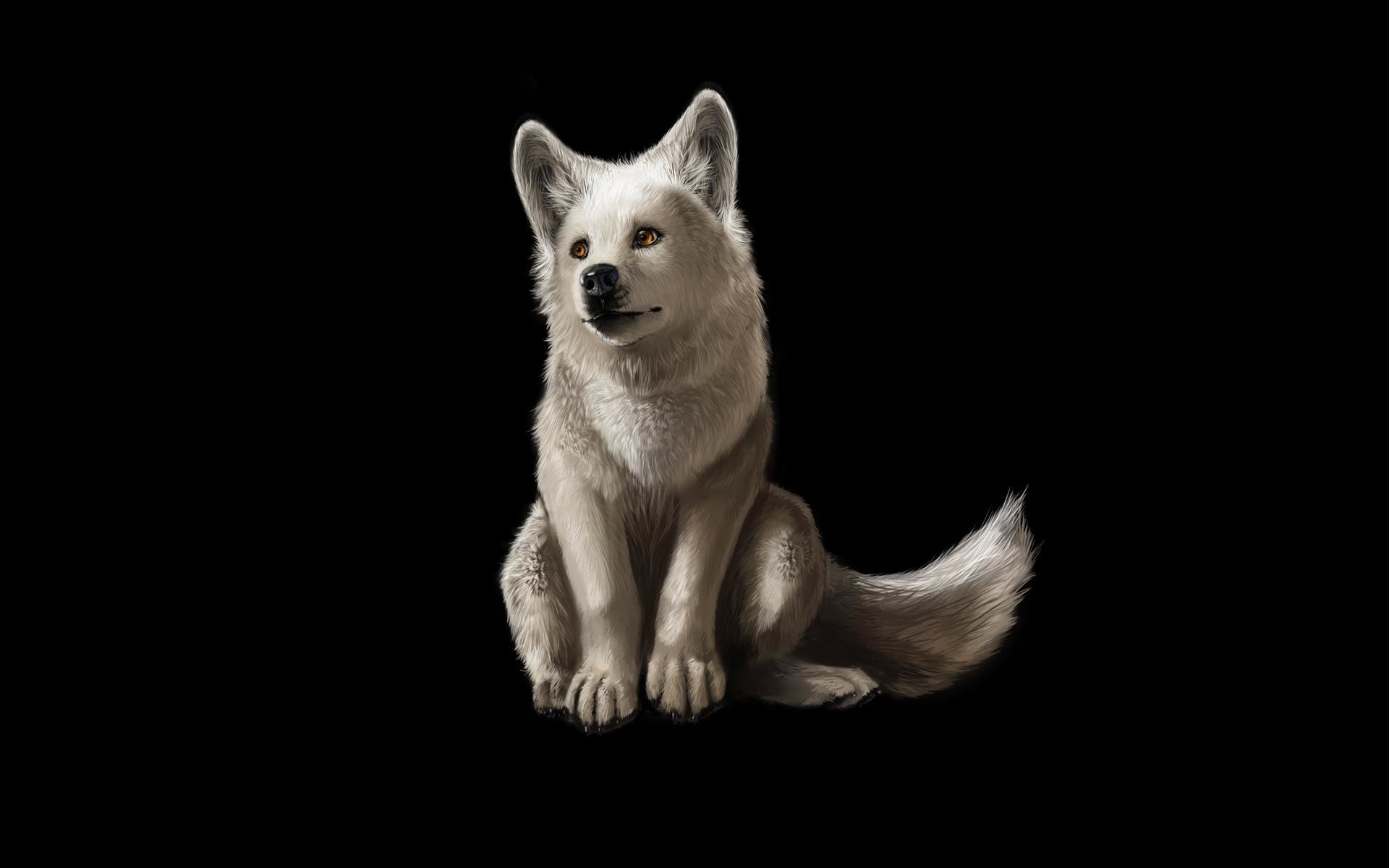 Lupacchiotto, Illustrazione, Sfondo nero, 1920x1200, wallpaper desktop