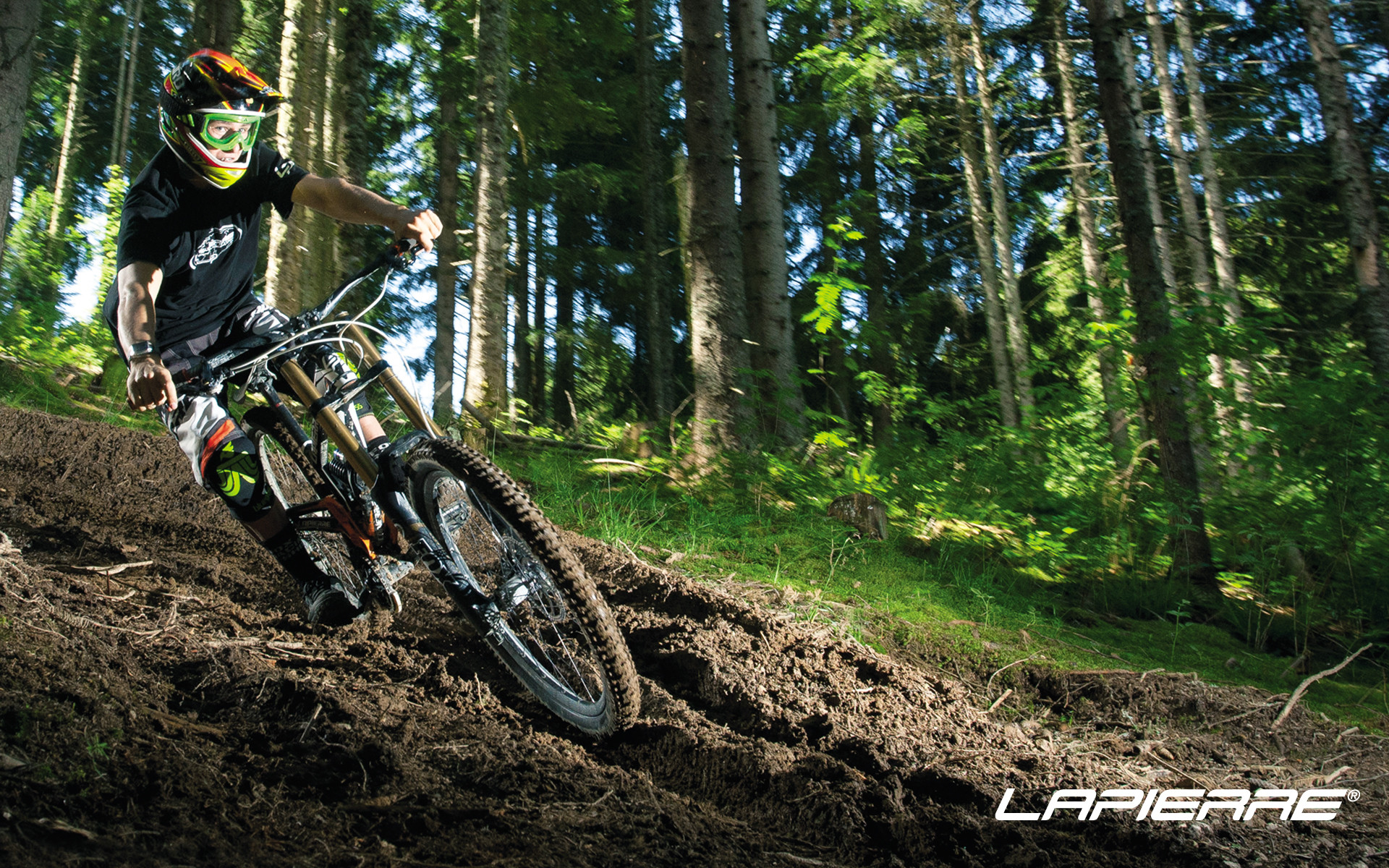 Mountain bike, Bosco, Lapierre, Discesa, 1920x1200, wallpaper desktop