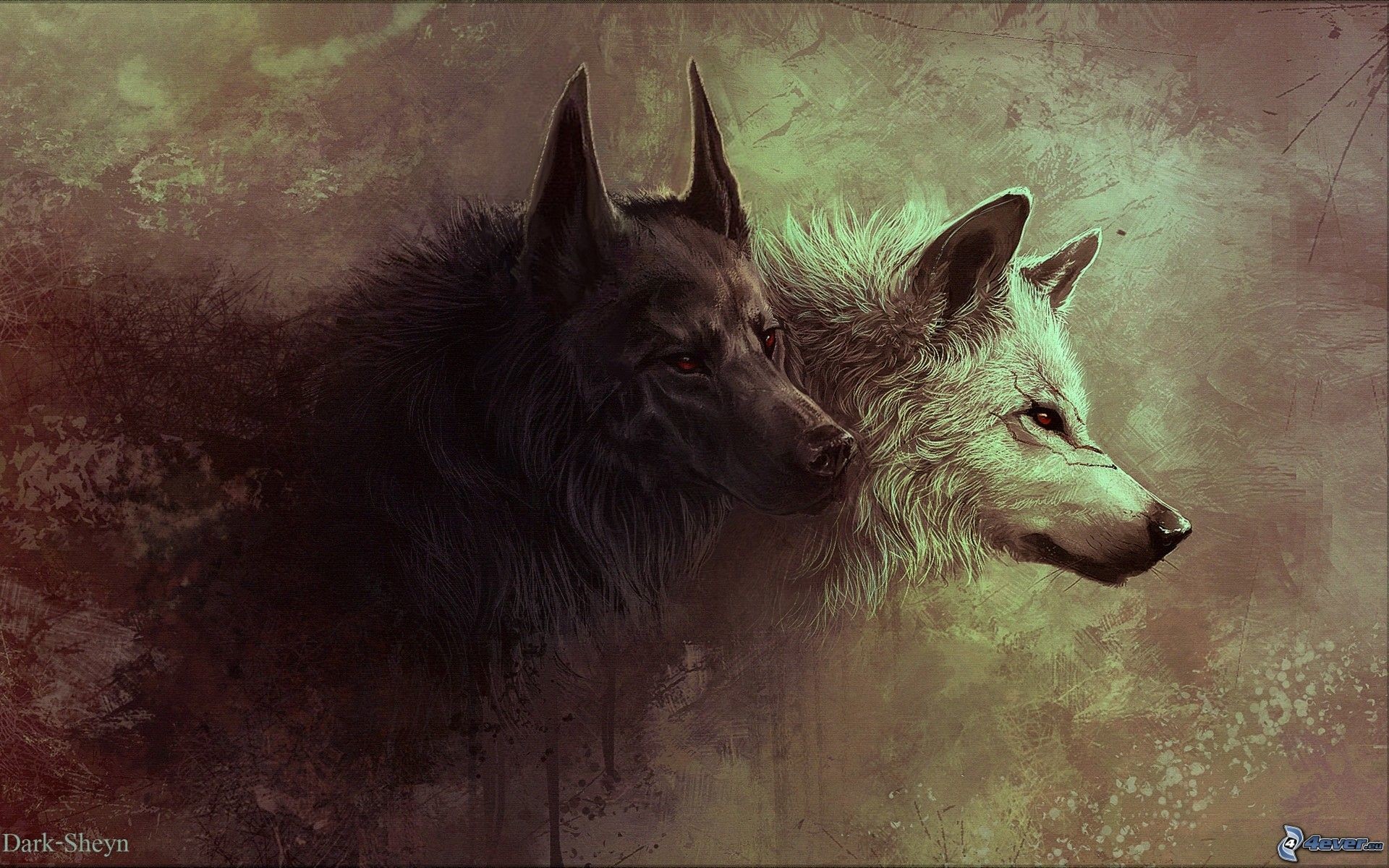 Lupi, Coppia, Arte digitale, Pittura, 1920x1200, sfondo per PC