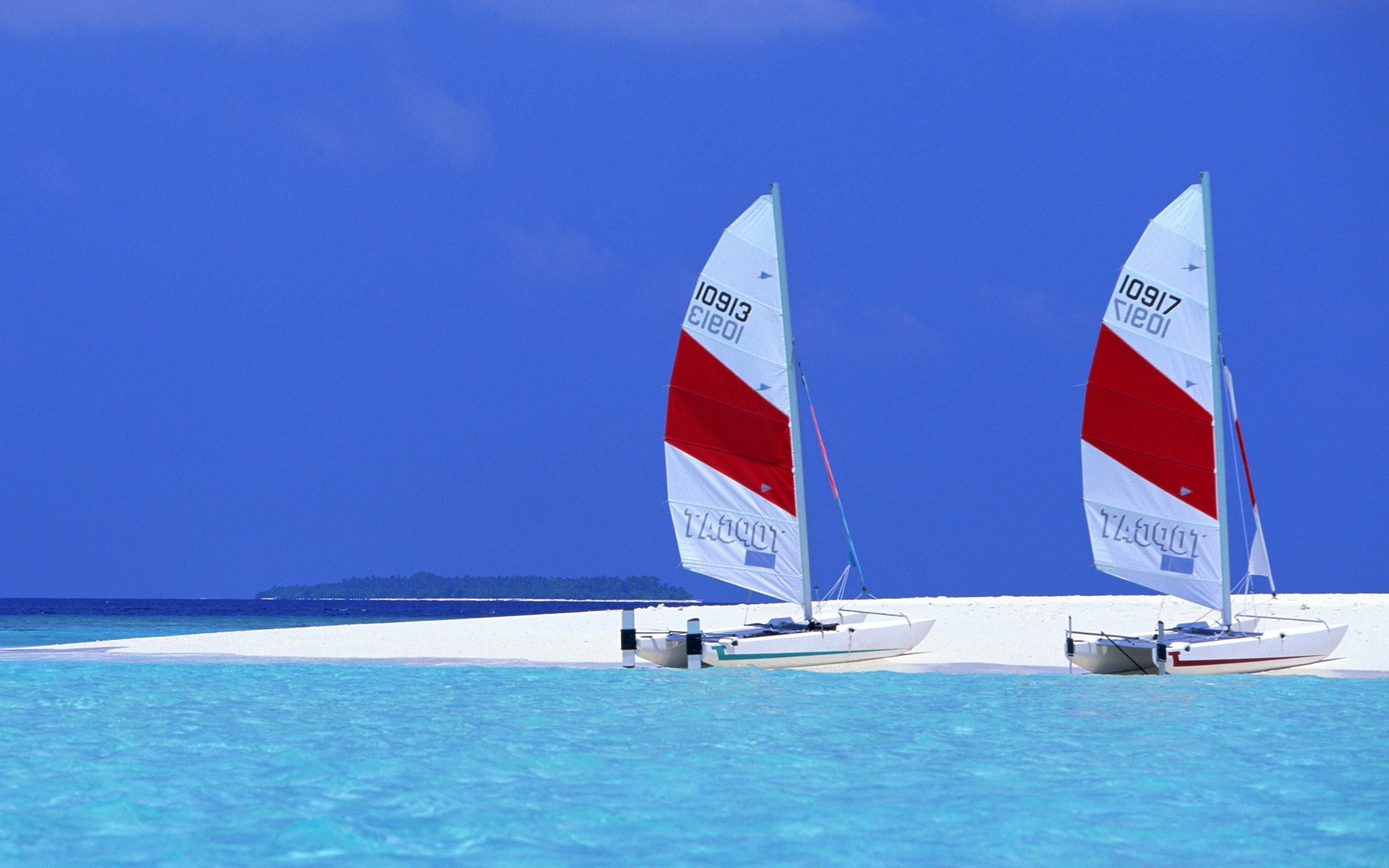 Catamarani, Vele, Spiaggia tropicale, Acqua turchese, 2K, sfondo per PC