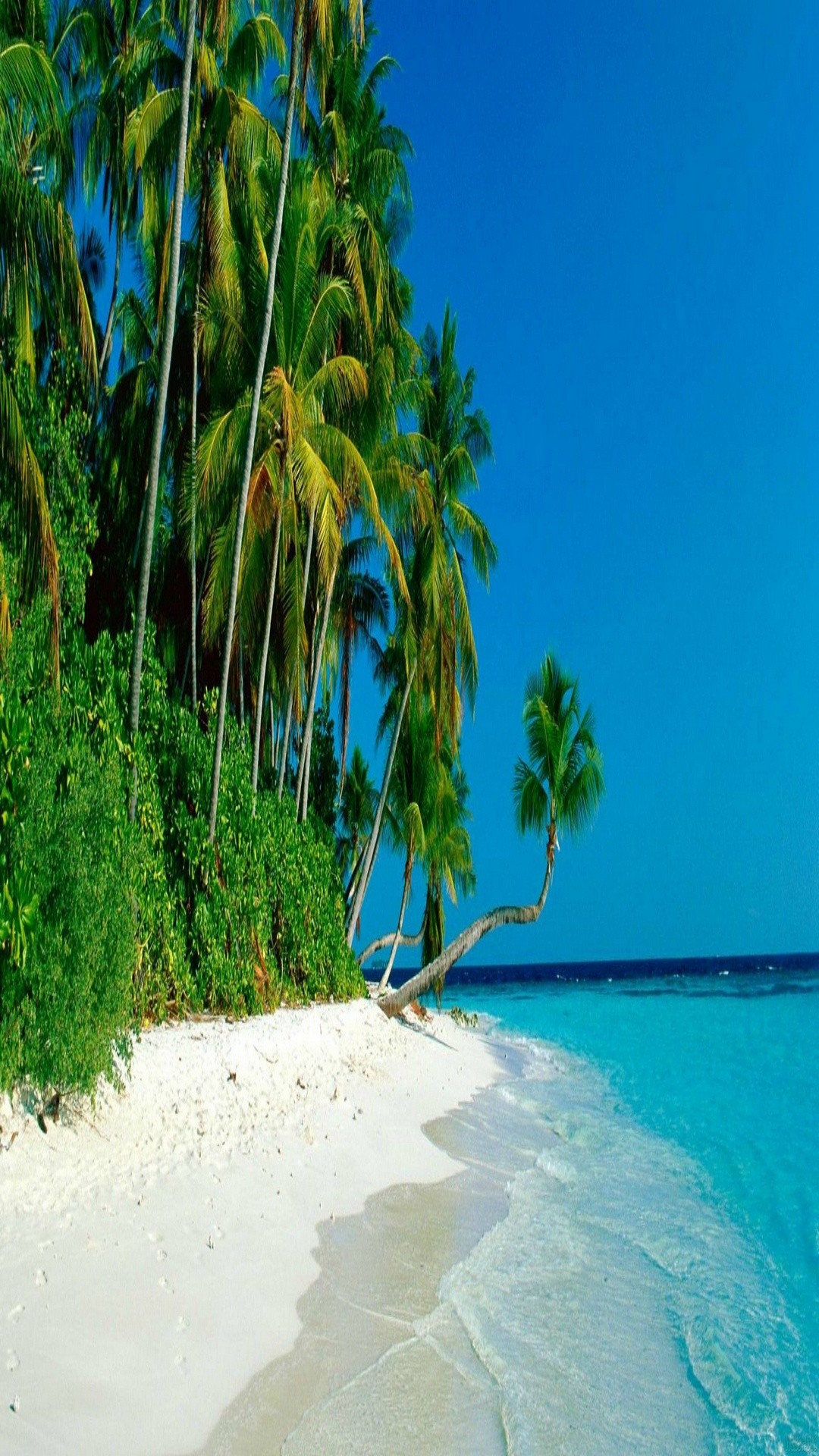 Spiaggia tropicale, Palme, Mare, Sabbia bianca, immagine di sfondo iPhone