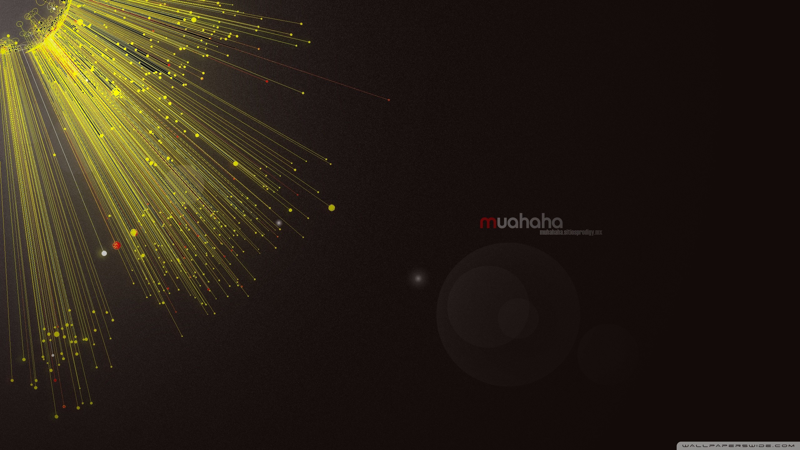 Luci, Fibre ottiche, Giallo, Sfondo nero, 16:9 2K, wallpaper widescreen