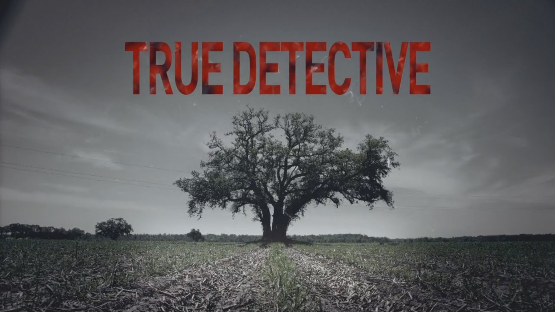 True Detective, Logo, Albero, Campo, Full HD 1080p, sfondo desktop