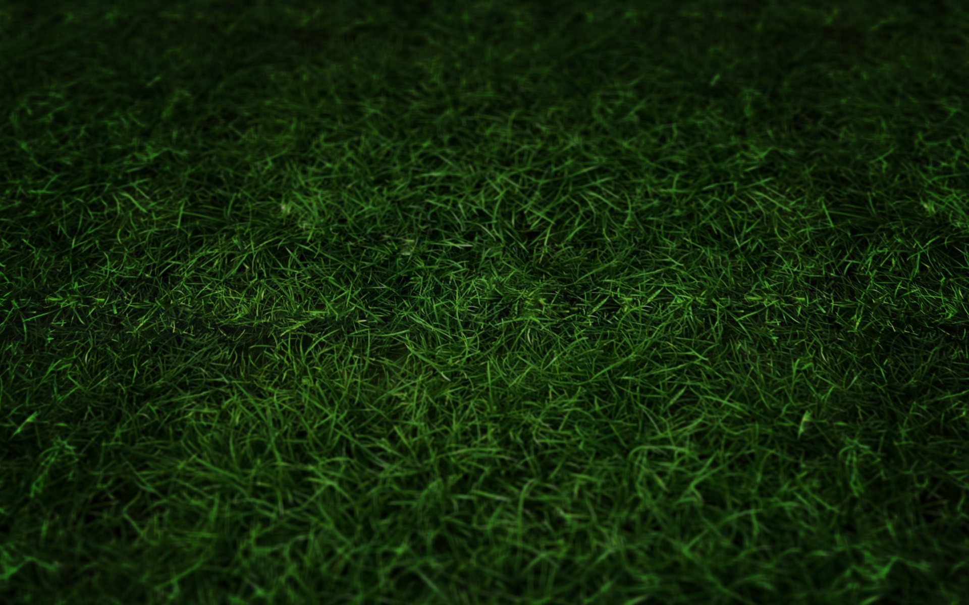 Prato, Texture erba, Verde scuro, 1920x1200, sfondo MacBook Pro