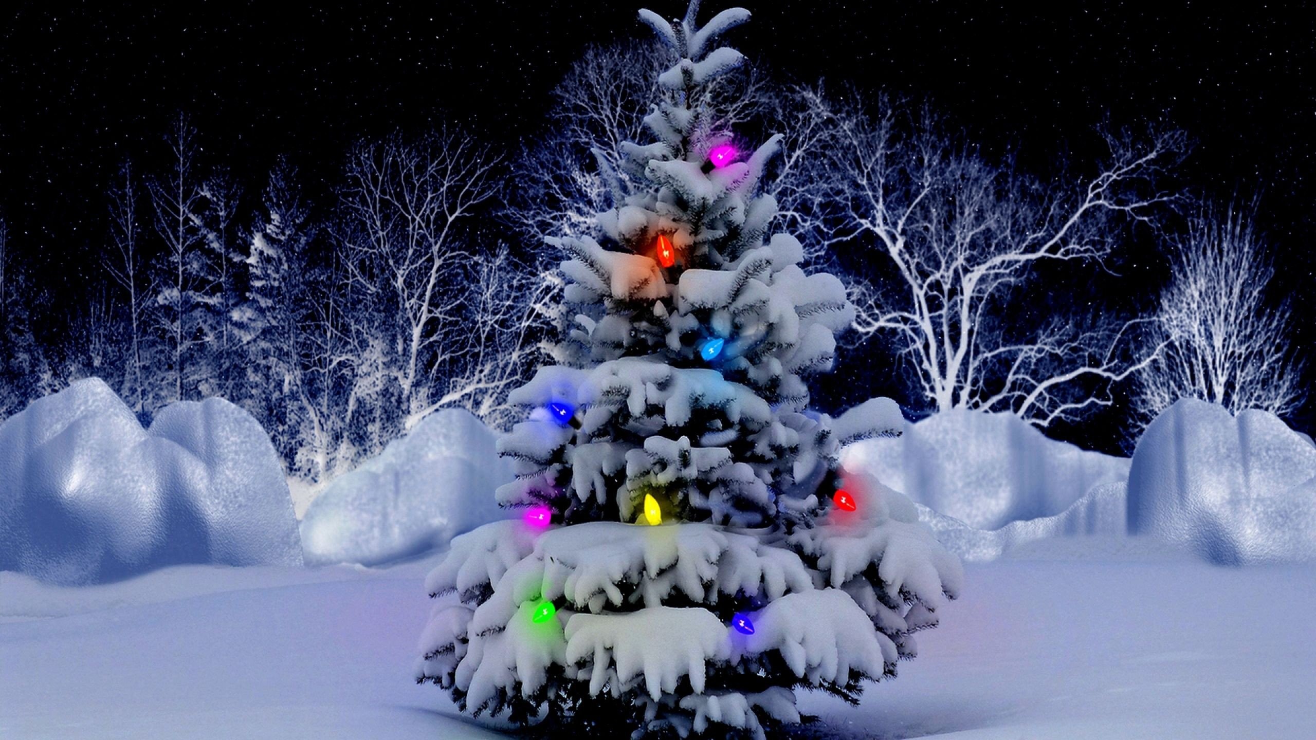 Albero di Natale, Luci colorate, Neve, Notte, 2560x1440, immagine di sfondo