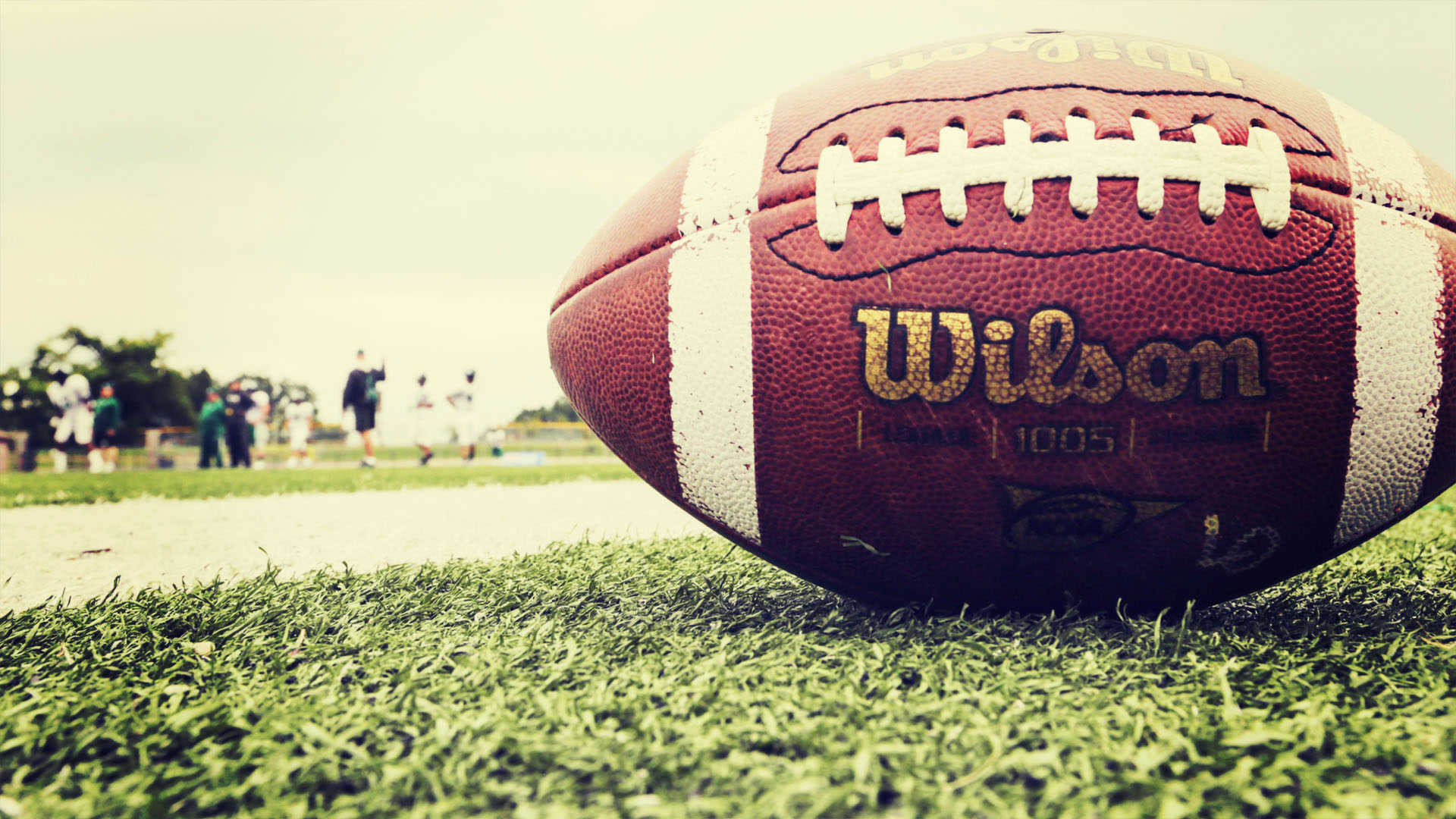 Wilson, Pallone da football americano, Erba, Primo piano, 16:9 Full HD, sfondo widescreen