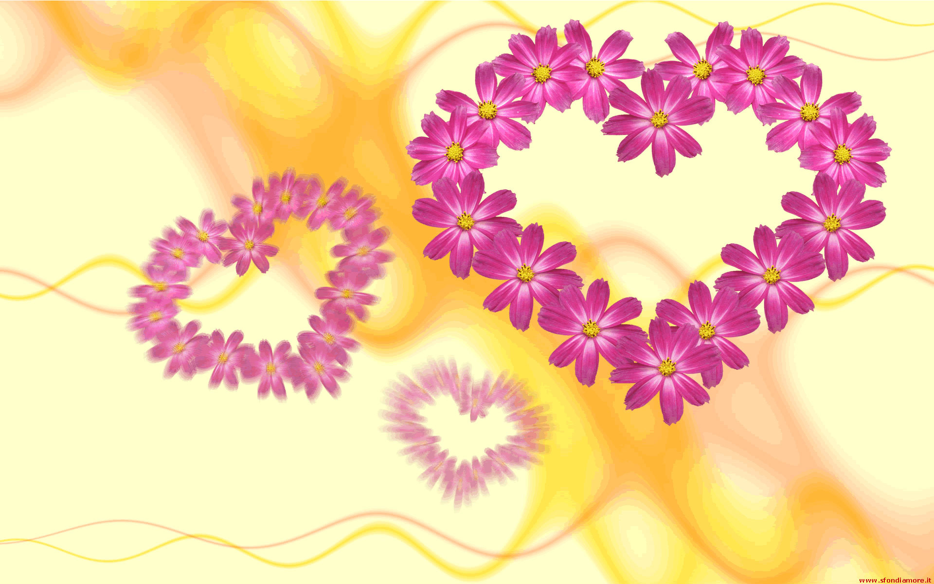 Cuori di fiori, Margherite, Rosa, Sfondo giallo, Full HD, wallpaper per computer