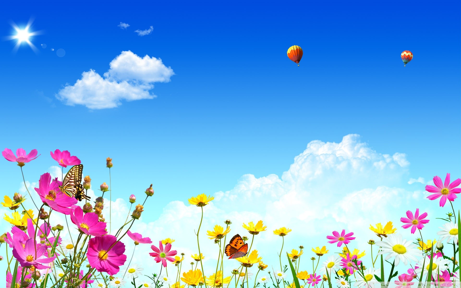 Cosmos, Farfalle, Mongolfiere, Cielo azzurro, Full HD, sfondo per portatile