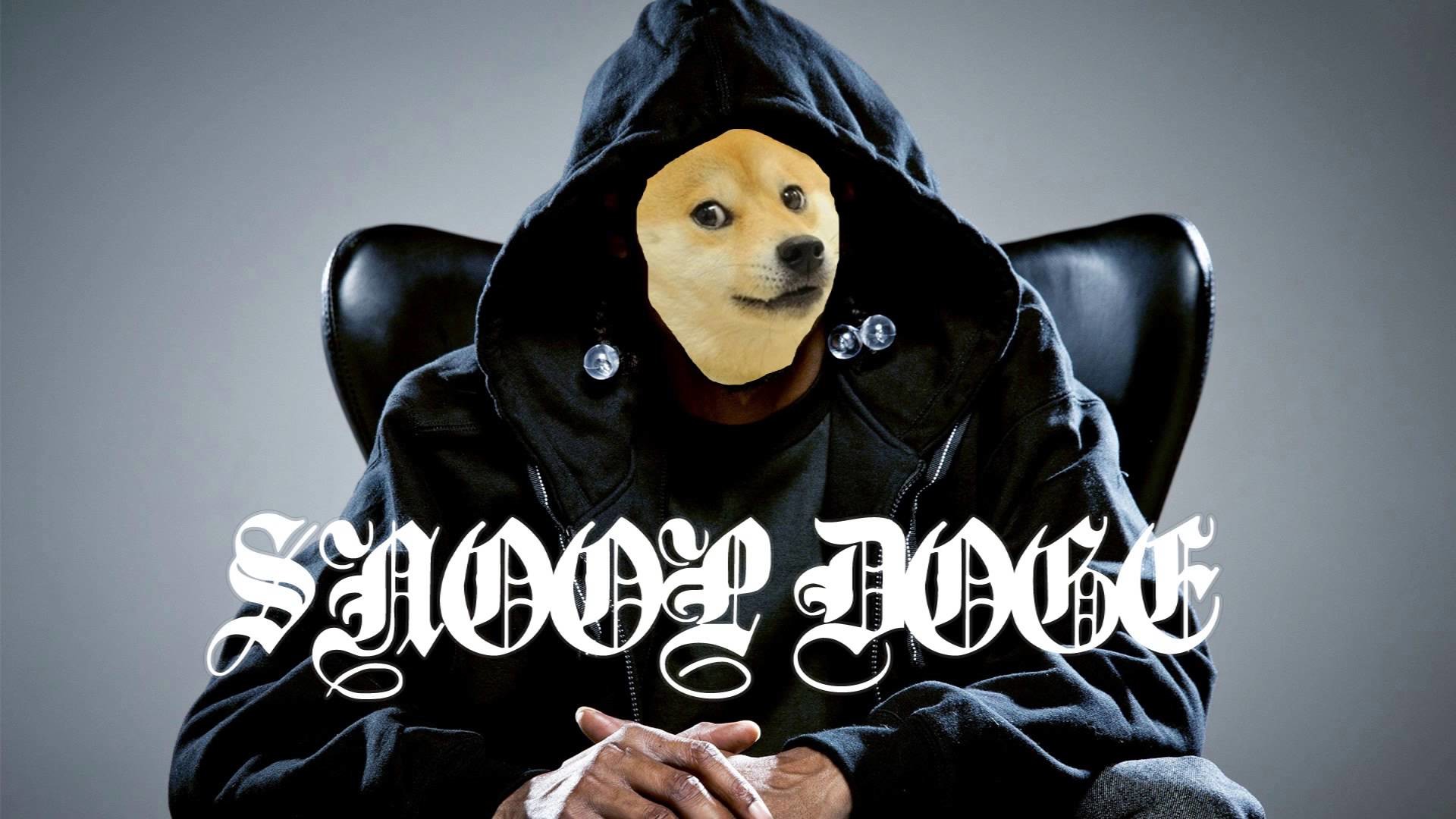 Snoop Dogg, Snoop Doge, Doge, Parodia, Full HD, wallpaper per PC