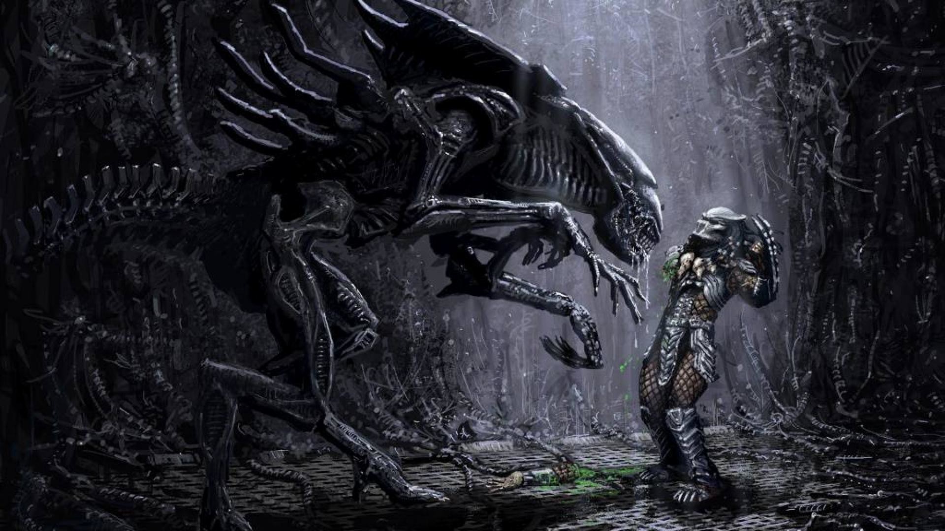 Alien vs. Predator, Xenomorfo, Predator, Battaglia, Pioggia, 16:9 Full HD, sfondo widescreen