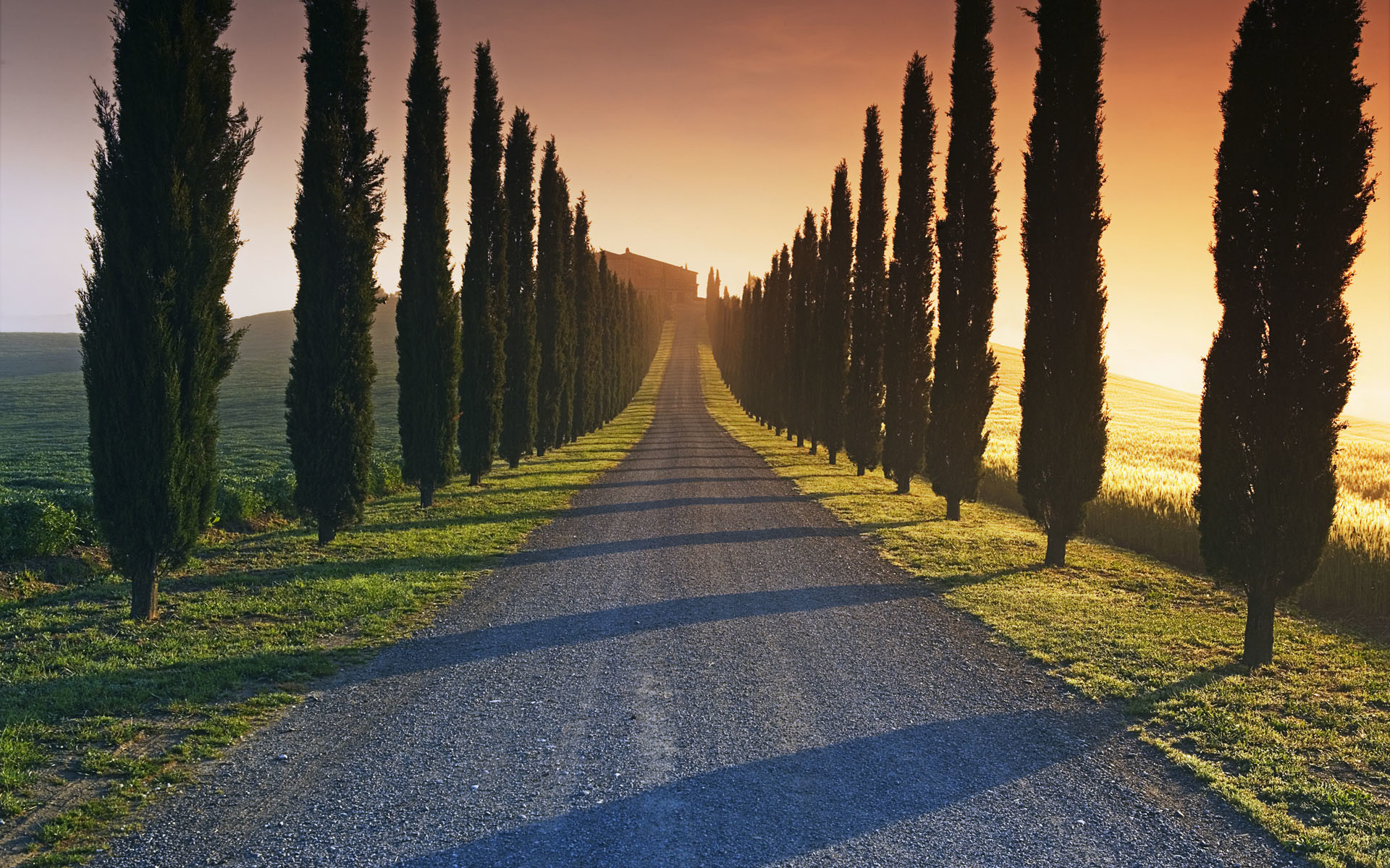Viale di cipressi, Toscana, Strada, Tramonto, Full HD, wallpaper per portatile