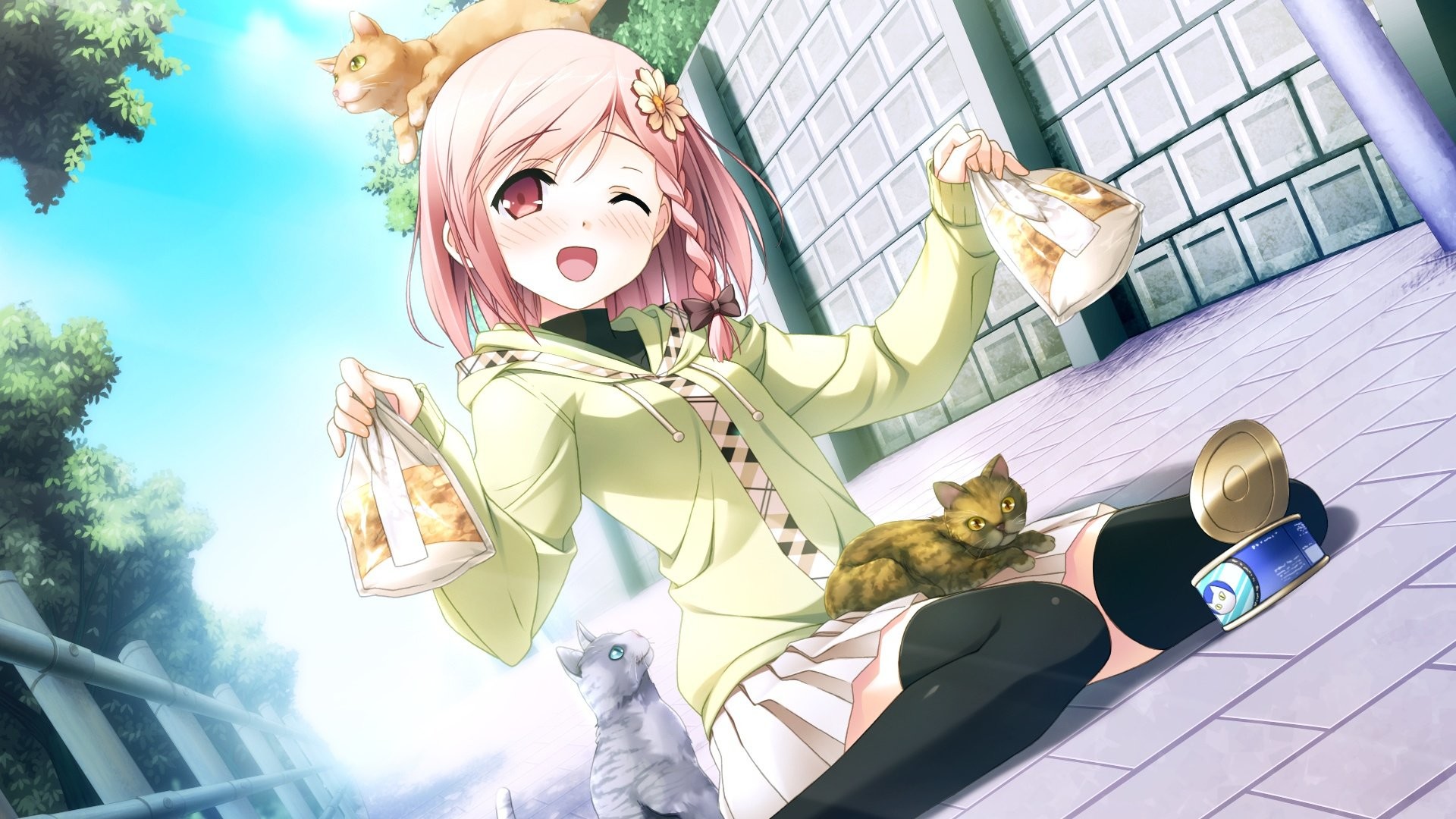 Ragazza anime, Gatti, Occhiolino, Capelli rosa, Full HD, sfondo per PC e portatile
