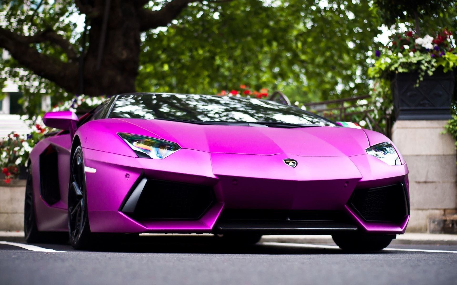 Lamborghini Aventador, Fucsia, Supercar, 1920x1200, sfondo per PC