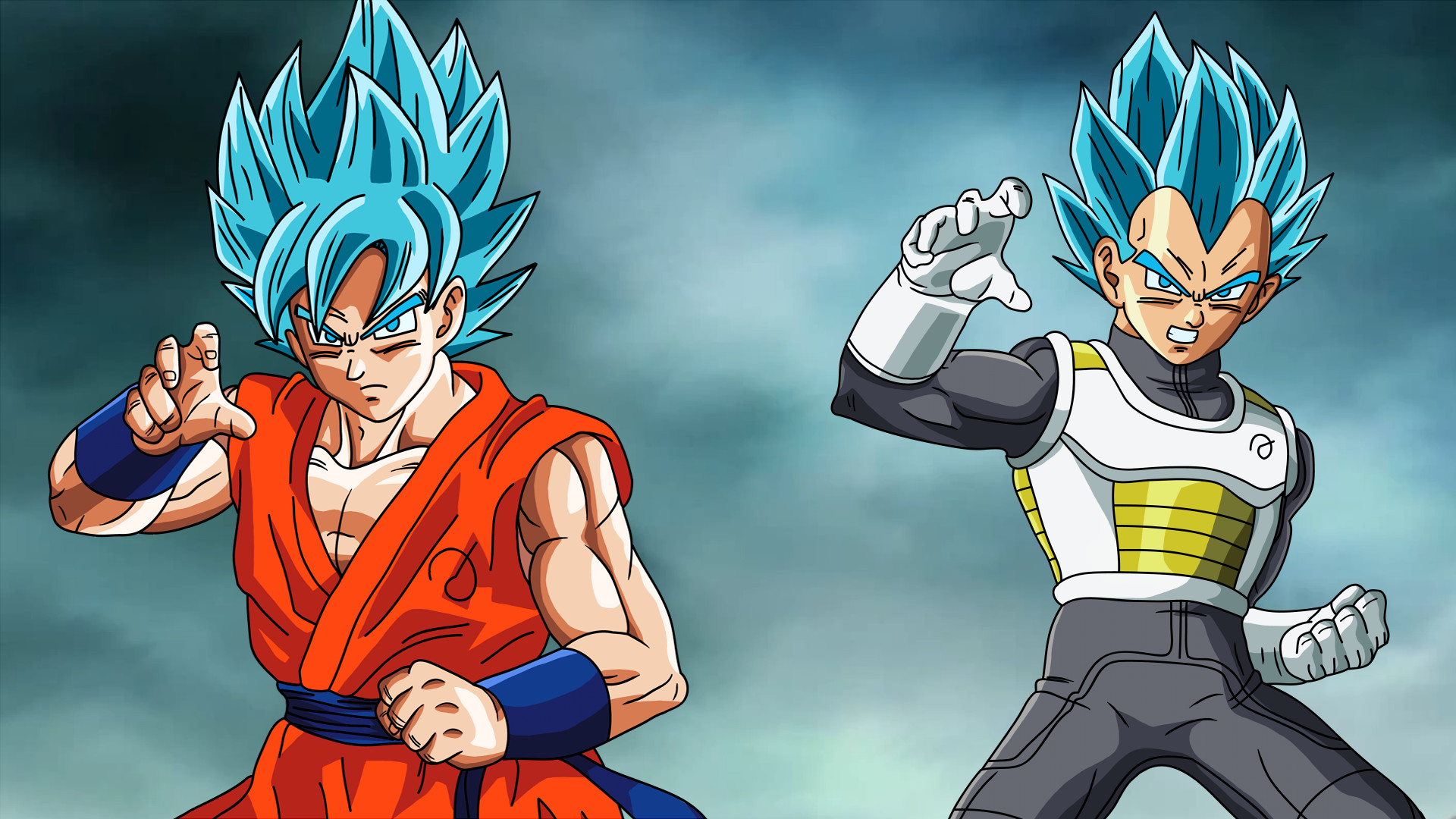 Goku, Vegeta, Super Saiyan Blue, Dragon Ball Super, Full HD 1080p, sfondo desktop