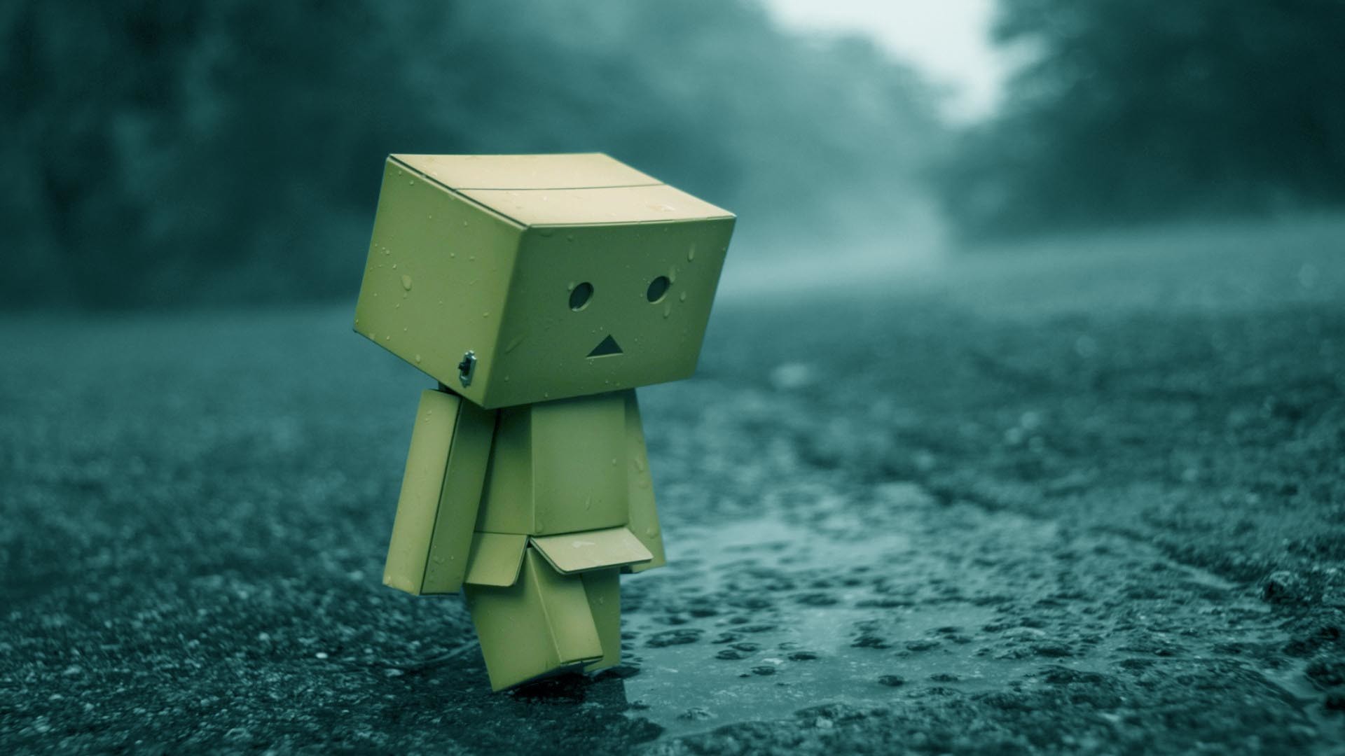 Danbo, Pioggia, Strada, Tristezza, Full HD, sfondo per PC