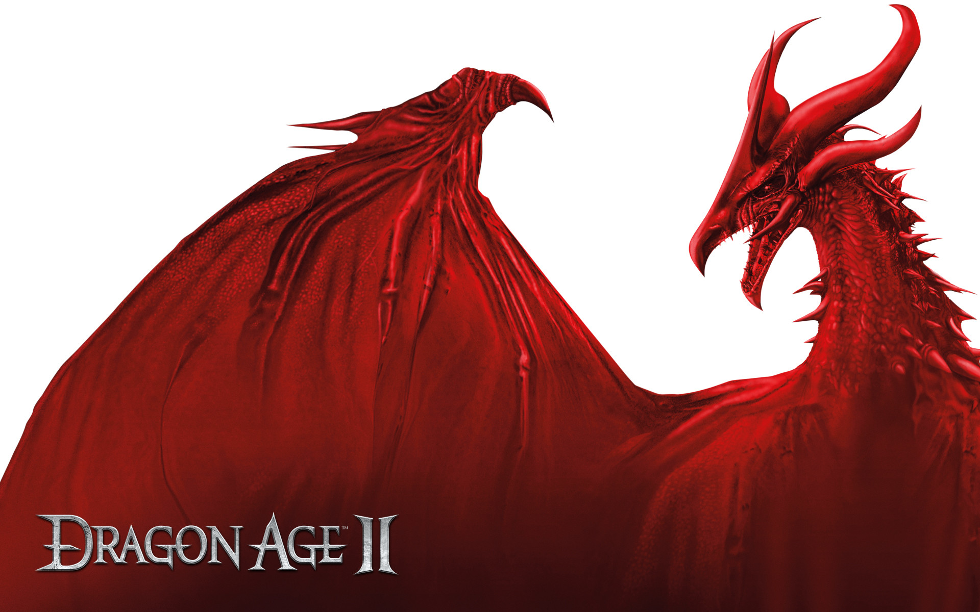 Dragon Age II, Drago rosso, Logo, Sfondo bianco, Full HD, wallpaper desktop