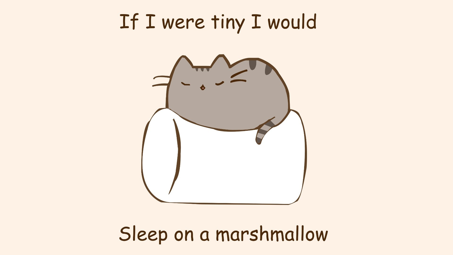 Pusheen, Marshmallow, If I were tiny I would, 1920x1080, wallpaper desktop