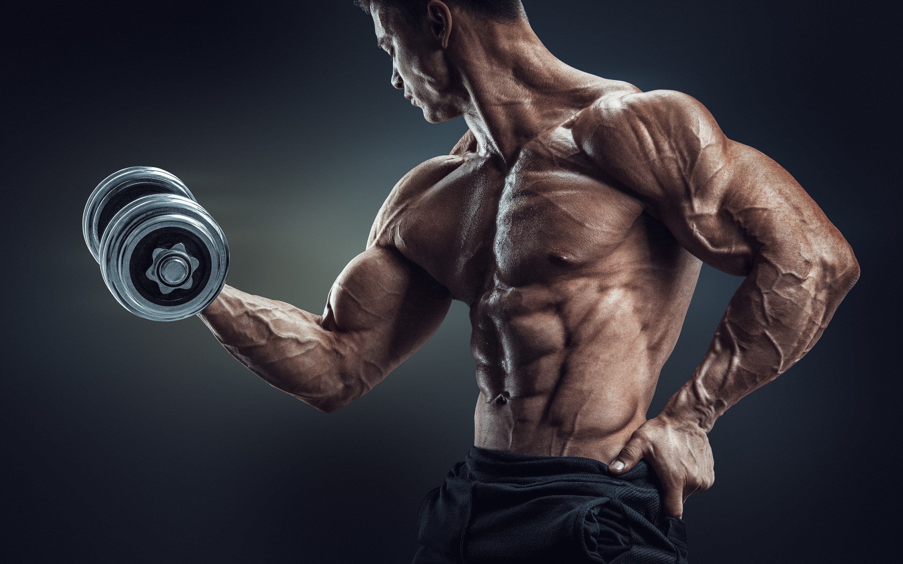 Bodybuilder, Manubrio, Curl bicipiti, Muscoli, 2K, sfondo Windows 11