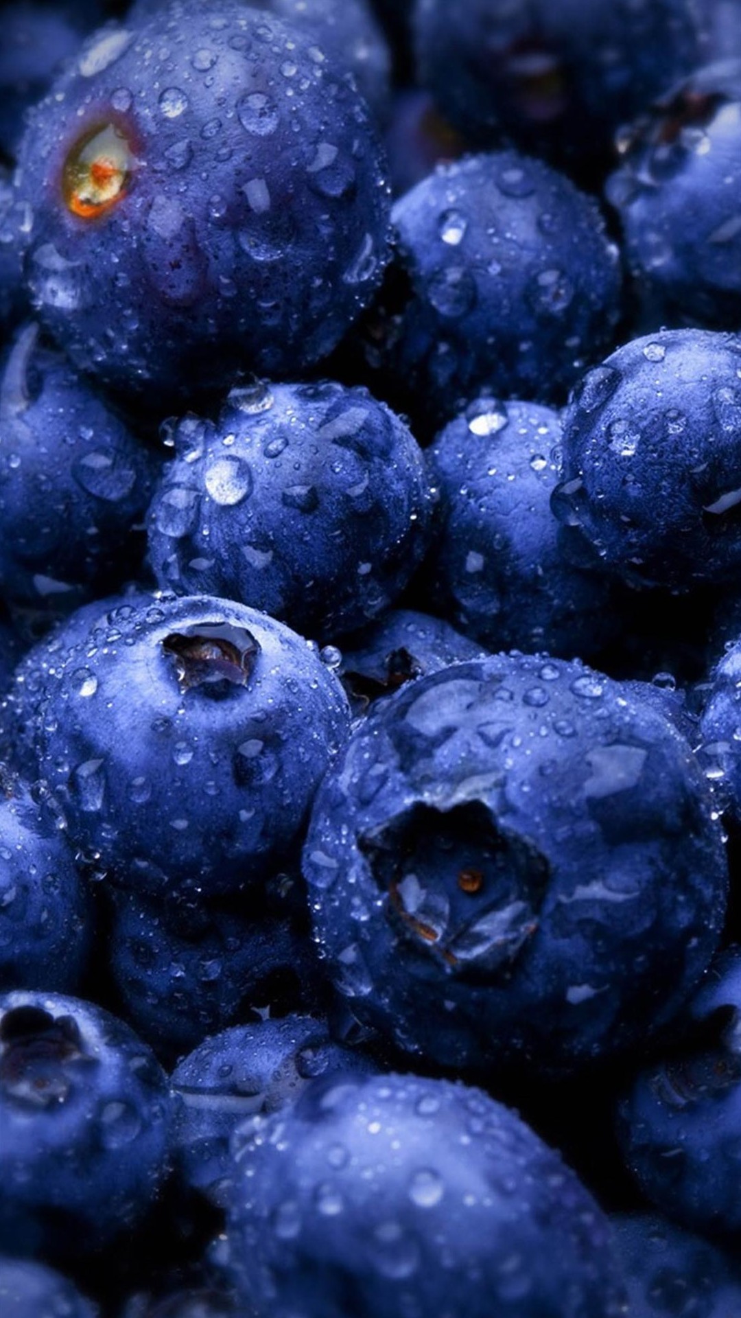 Mirtilli, Frutta, Gocce d'acqua, Blu, immagine di sfondo LG G2