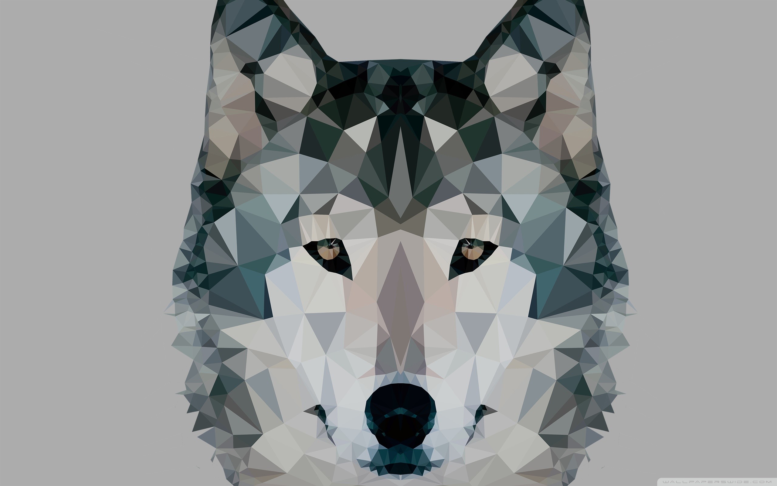Lupo, Low poly, Geometrico, 2K, sfondo Windows 11