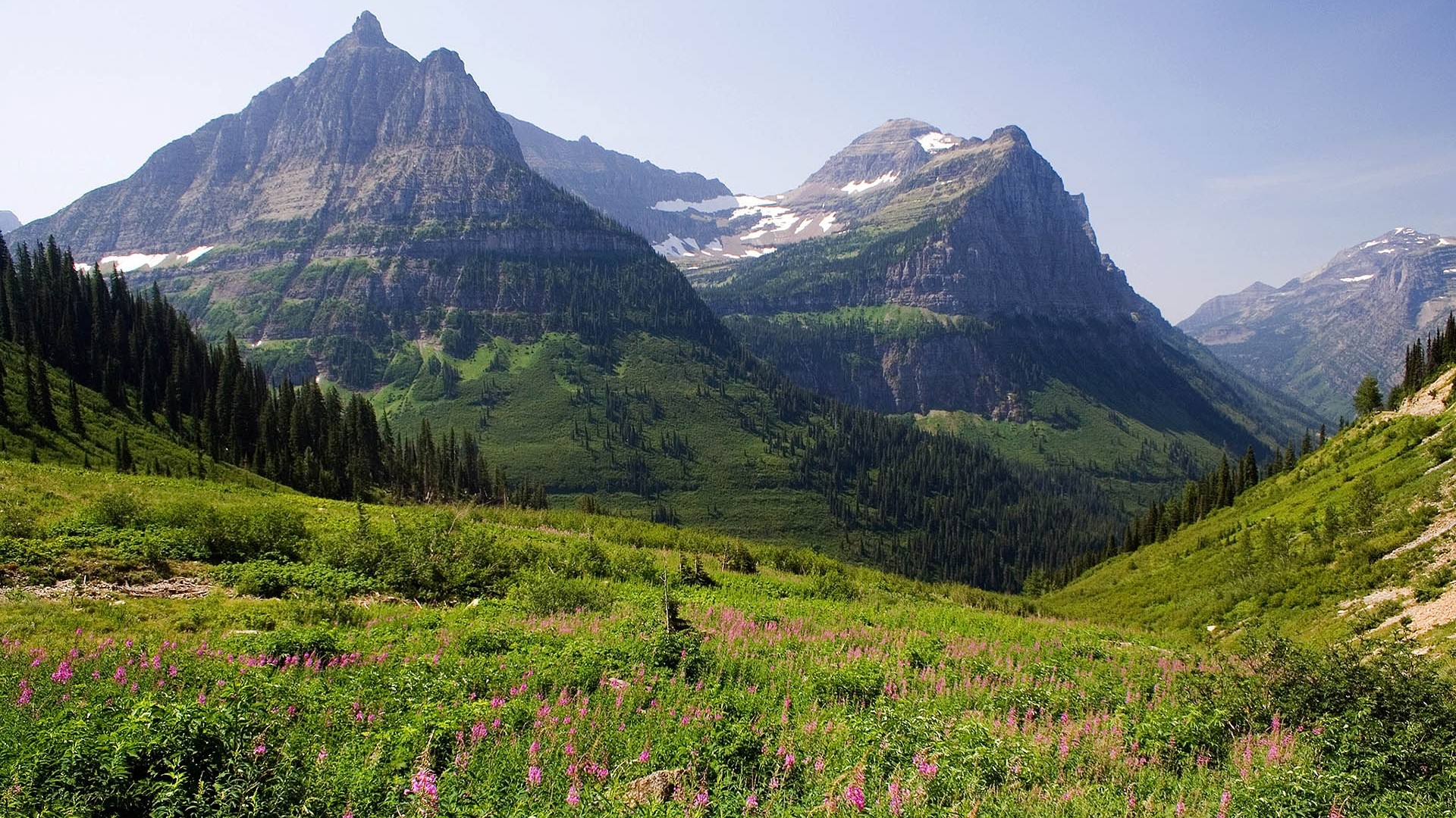 Glacier National Park, Montagne, Prato fiorito, Valle, wallpaper per desktop