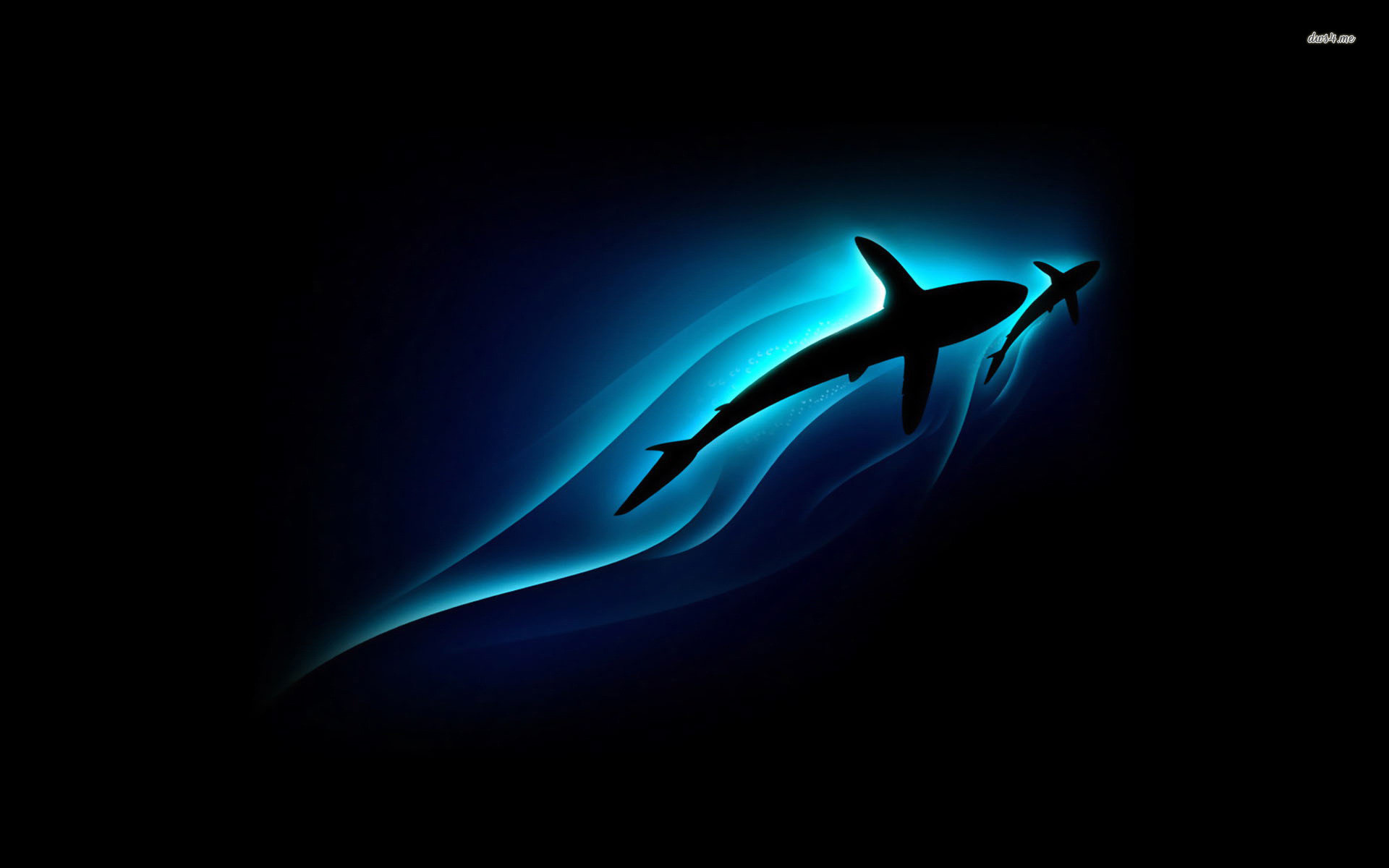 Squalo, Silhouette, Luce blu, Sfondo nero, 1920x1200, wallpaper desktop