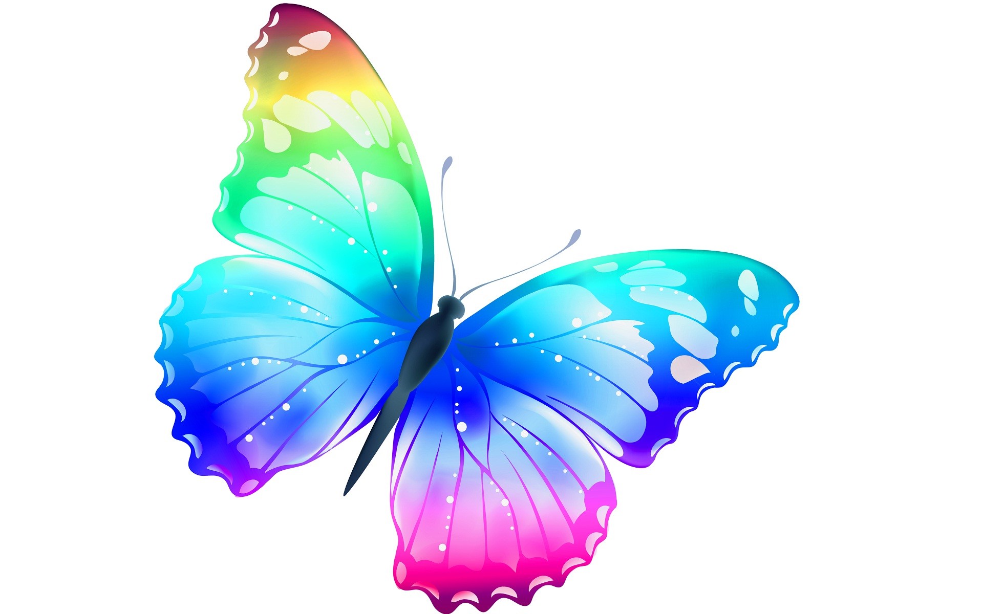 Farfalla arcobaleno, Sfondo bianco, Illustrazione, 1920x1200, wallpaper desktop