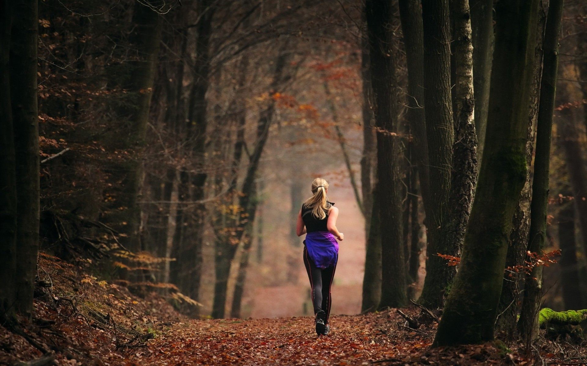 Corritrice, Bosco, Autunno, Sentiero, Full HD, wallpaper desktop