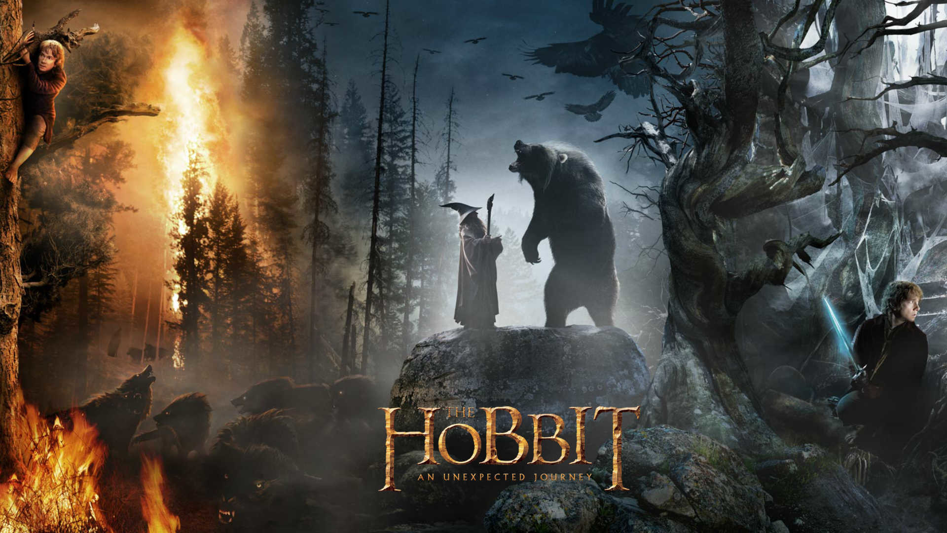 Beorn, Gandalf, Lo Hobbit: La desolazione di Smaug, Orso, Foresta, sfondo widescreen Full HD