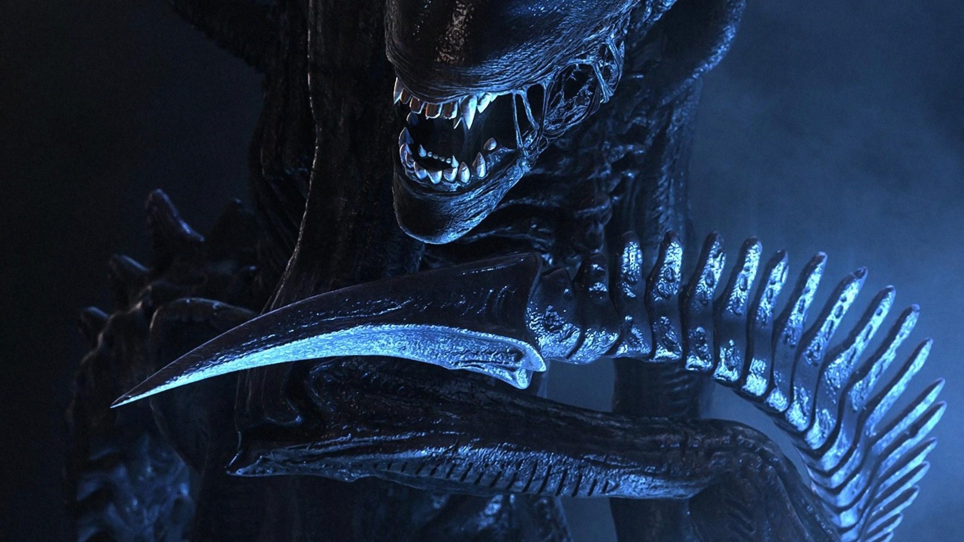 Xenomorfo, Alien, Coda, Blu, Full HD, sfondo per portatile