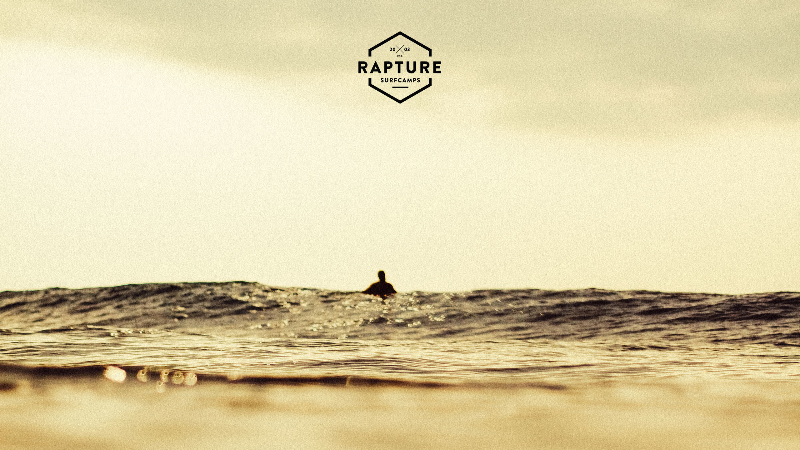 Rapture Surfcamps, Surfista, Mare, Seppia, 16:9 2K, sfondo widescreen