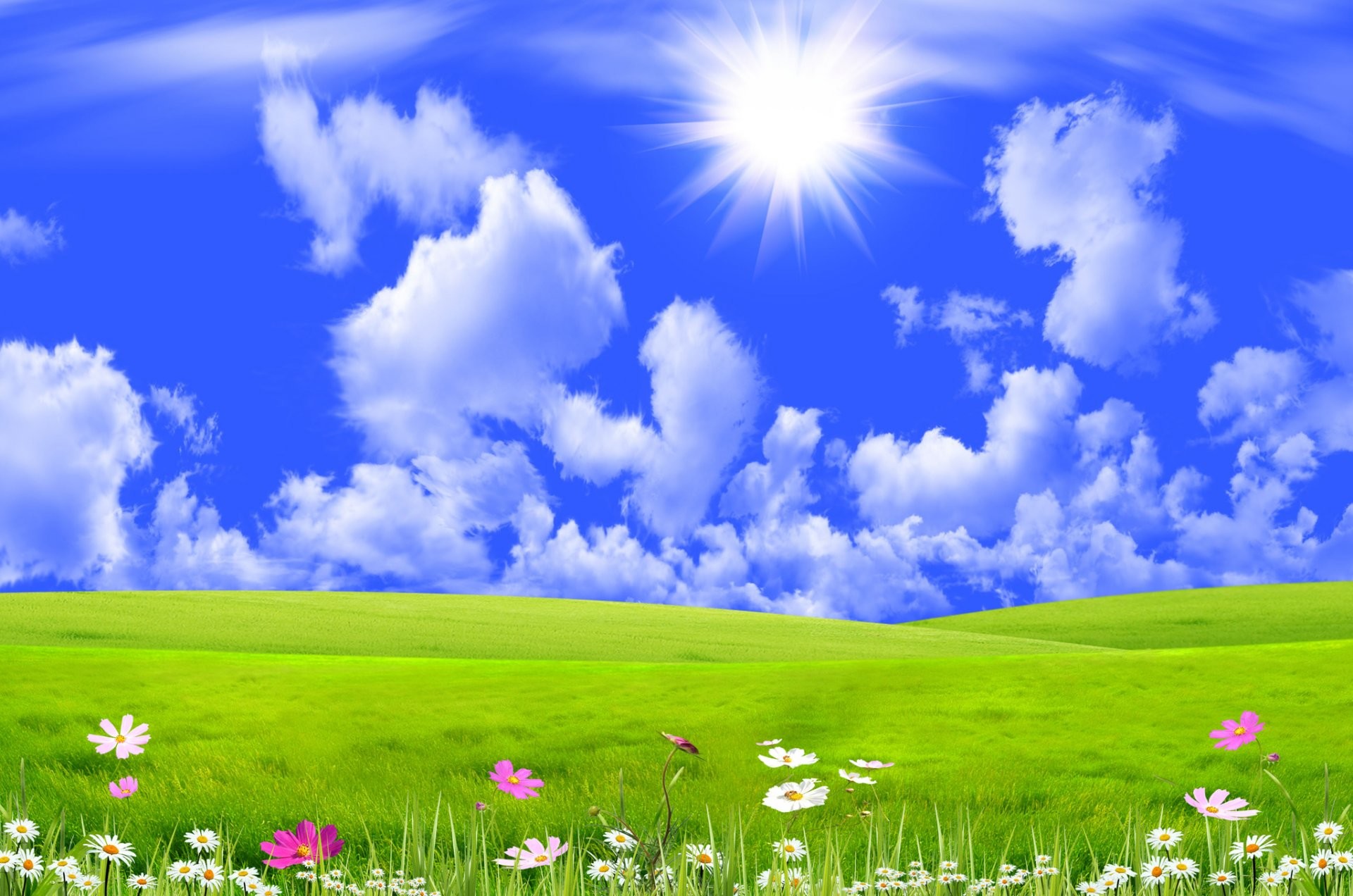 Prato, Fiori, Nuvole, Sole, Cielo azzurro, Full HD, sfondo Windows 11
