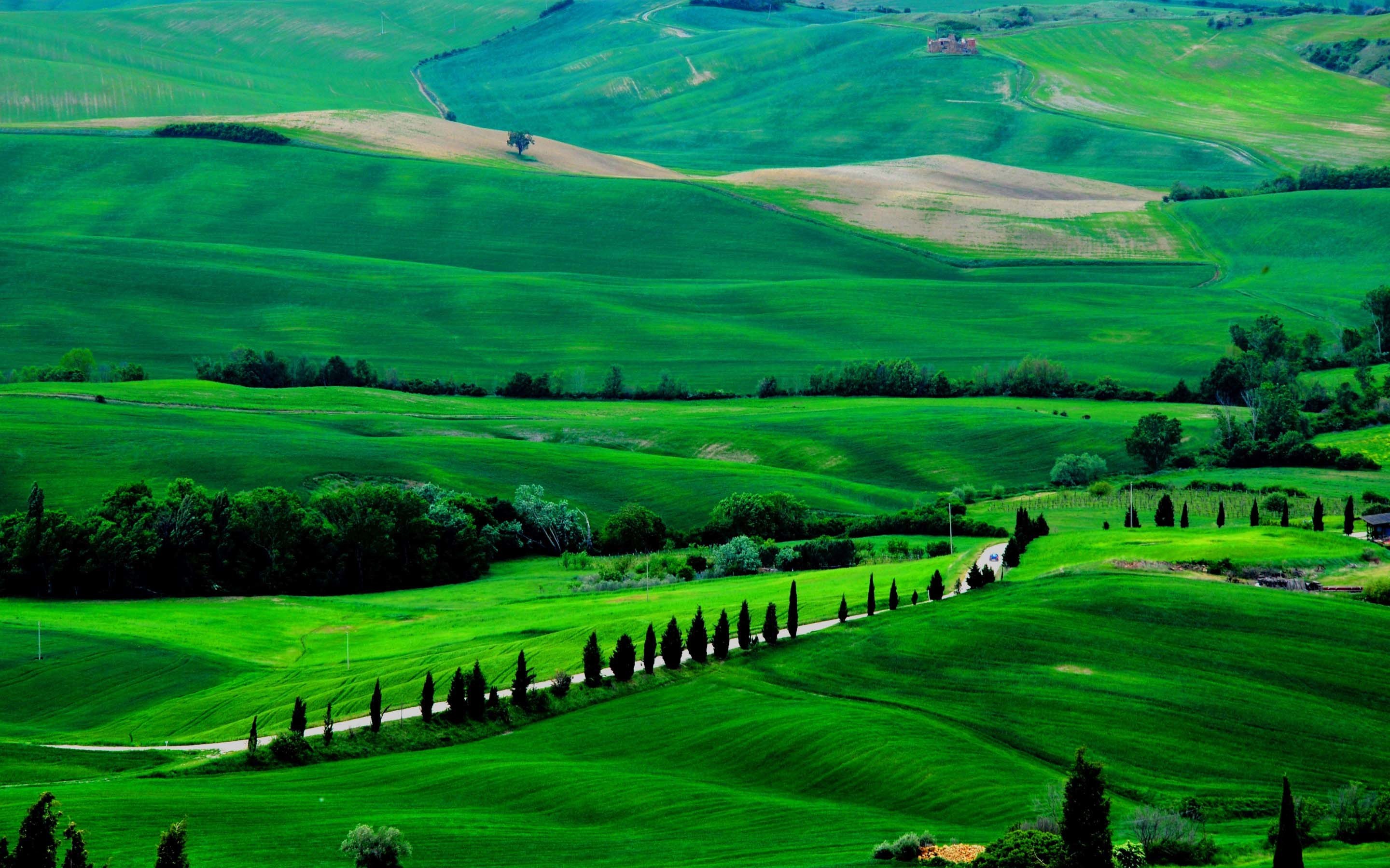 Val d'Orcia, Toscana, Colline, Cipressi, 2880x1800, sfondo per PC