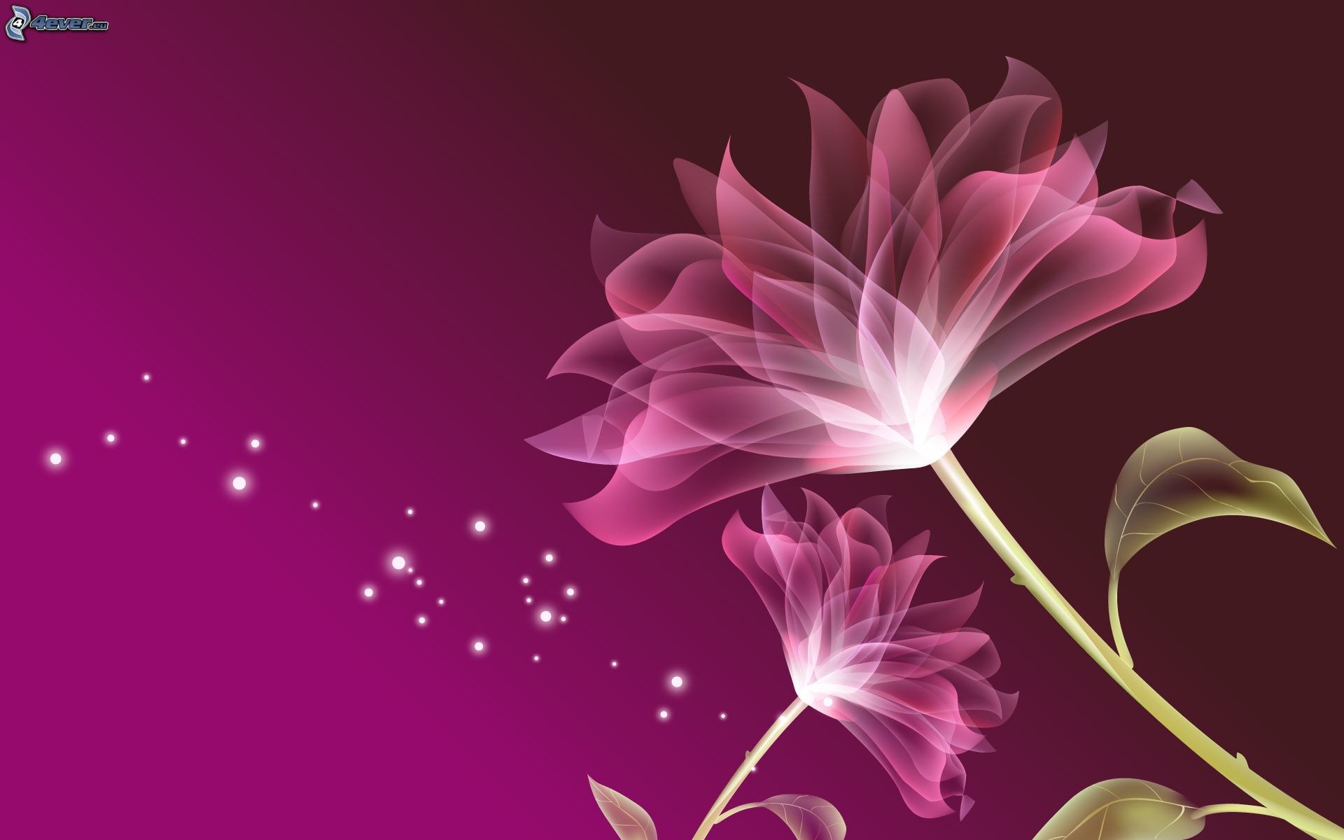 Fiori stilizzati, Rosa, Bordeaux, Arte digitale, 1920x1200, sfondo MacBook Pro