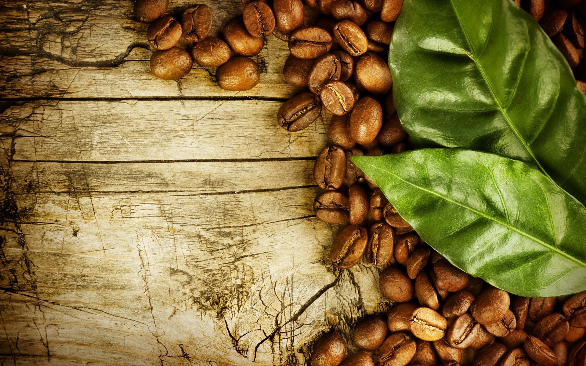 Chicchi di caffè, Foglie di caffè, Legno, Spazio per testo, Full HD, sfondo per PC e portatile