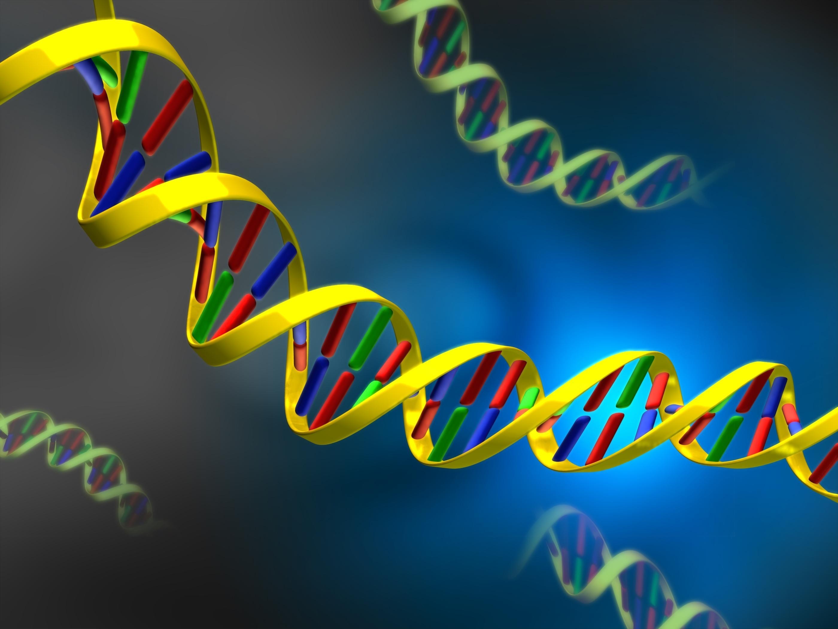 DNA, Doppia elica, Giallo, Blu, 2K, schermata di blocco iPad