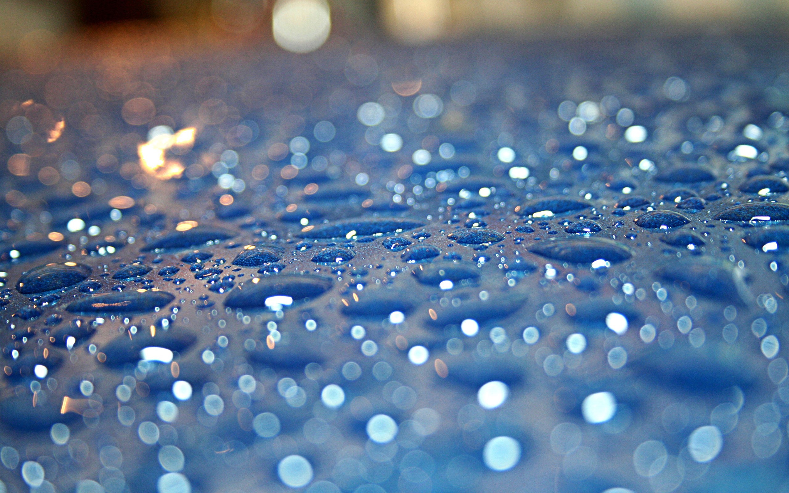 Gocce d'acqua, Bokeh, Macro, Blu, 2560x1600, wallpaper desktop