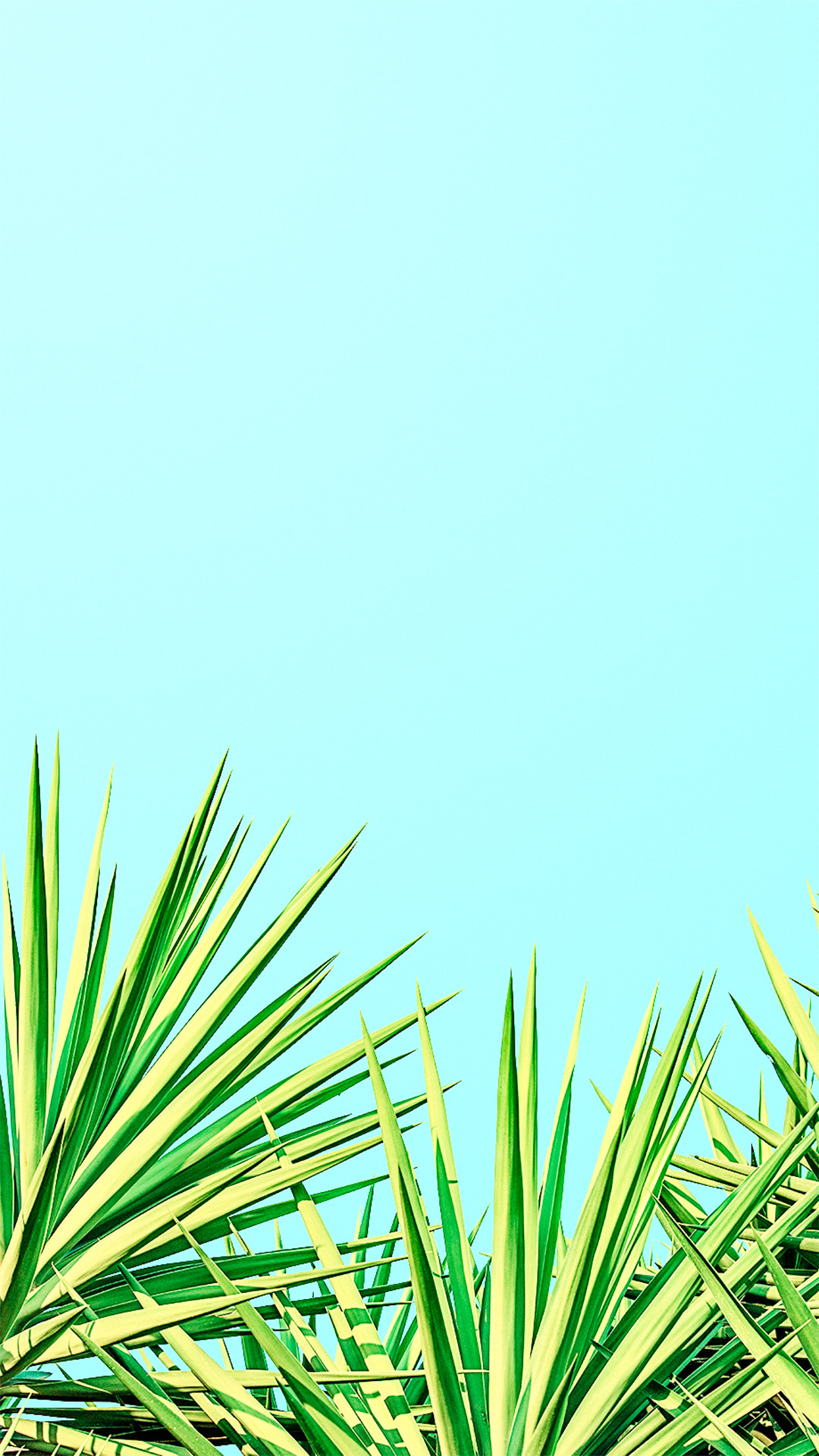 Foglie di palma, Azzurro, Minimalista, wallpaper per iPhone e Android