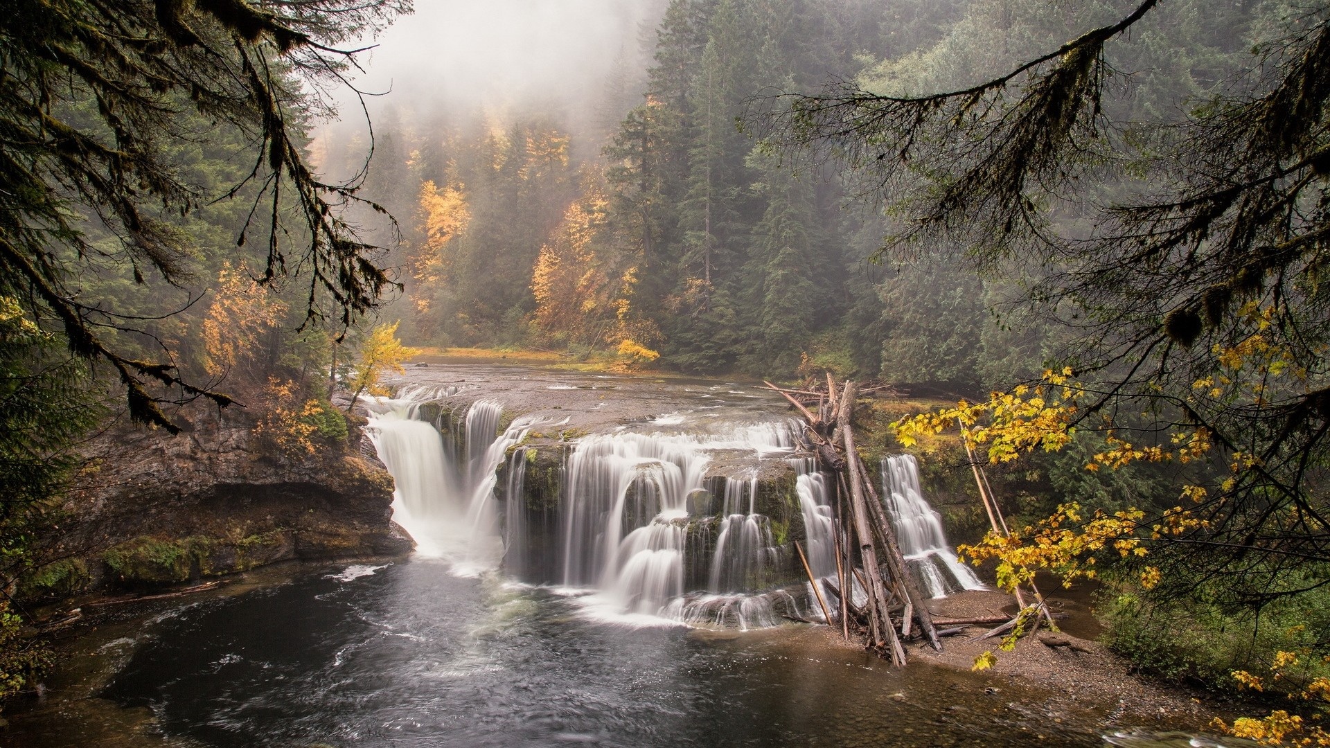 Cascata, Bosco, Autunno, Nebbia, Full HD 1080p, sfondo desktop