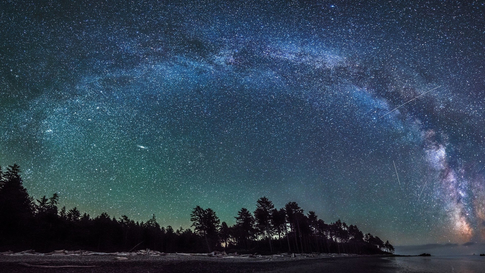 Via Lattea, Arco galattico, Foresta, Panorama, 1920x1080, sfondo per PC