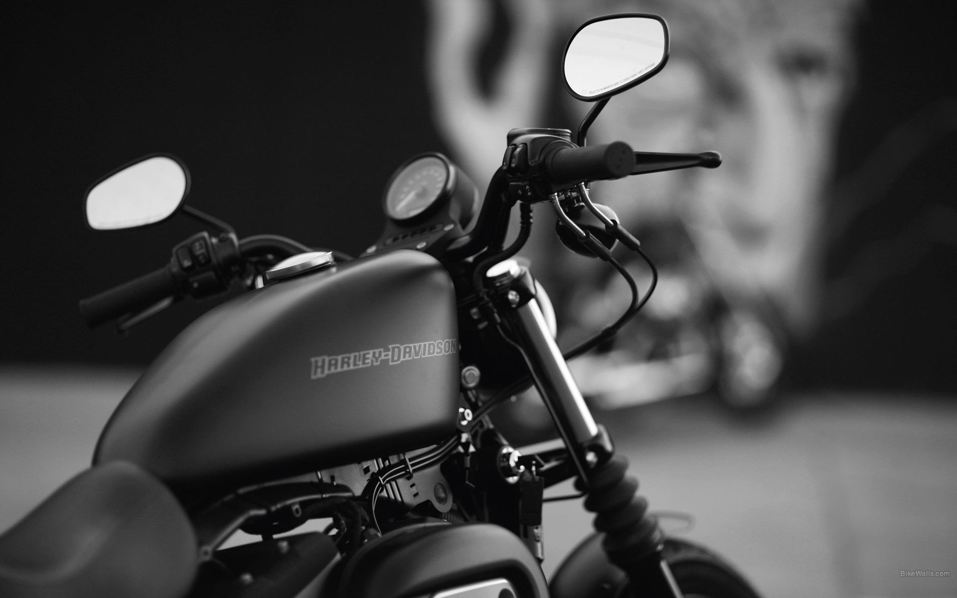Harley-Davidson Sportster Iron 883, Harley-Davidson, Serbatoio, Bianco e nero, Primo piano, sfondo Full HD
