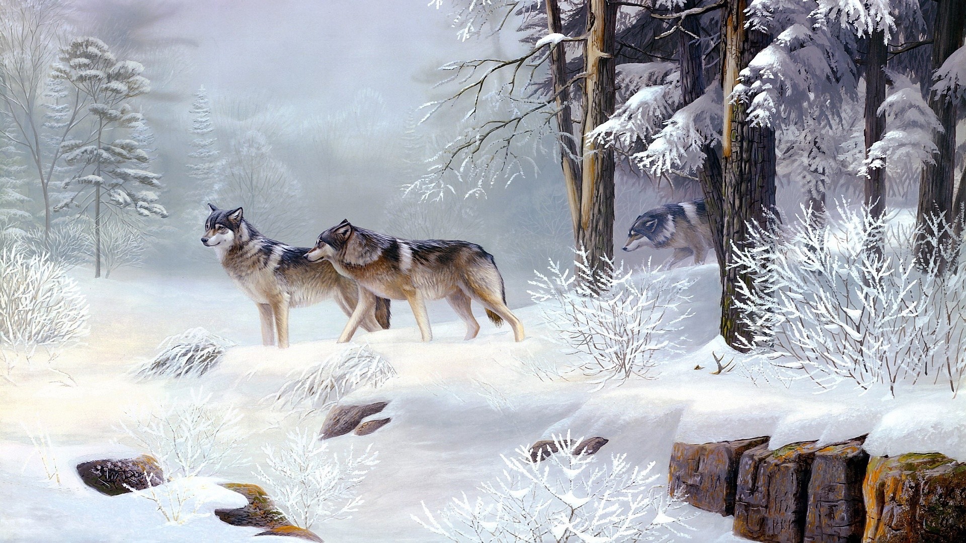 Lupi, Bosco innevato, Pittura, Inverno, 16:9 Full HD, sfondo widescreen