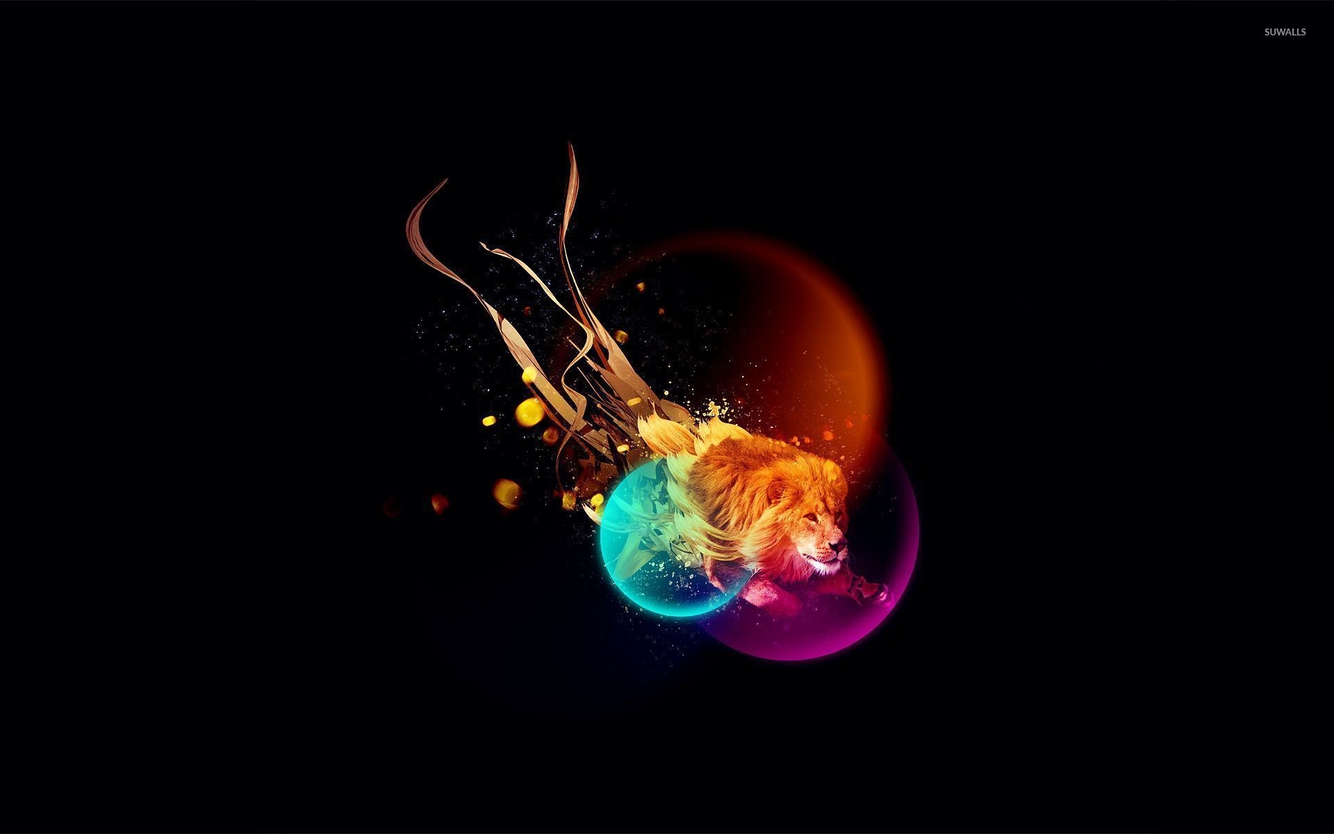 Leone, Arte astratta, Sfondo nero, Colori vivaci, Full HD, wallpaper per PC