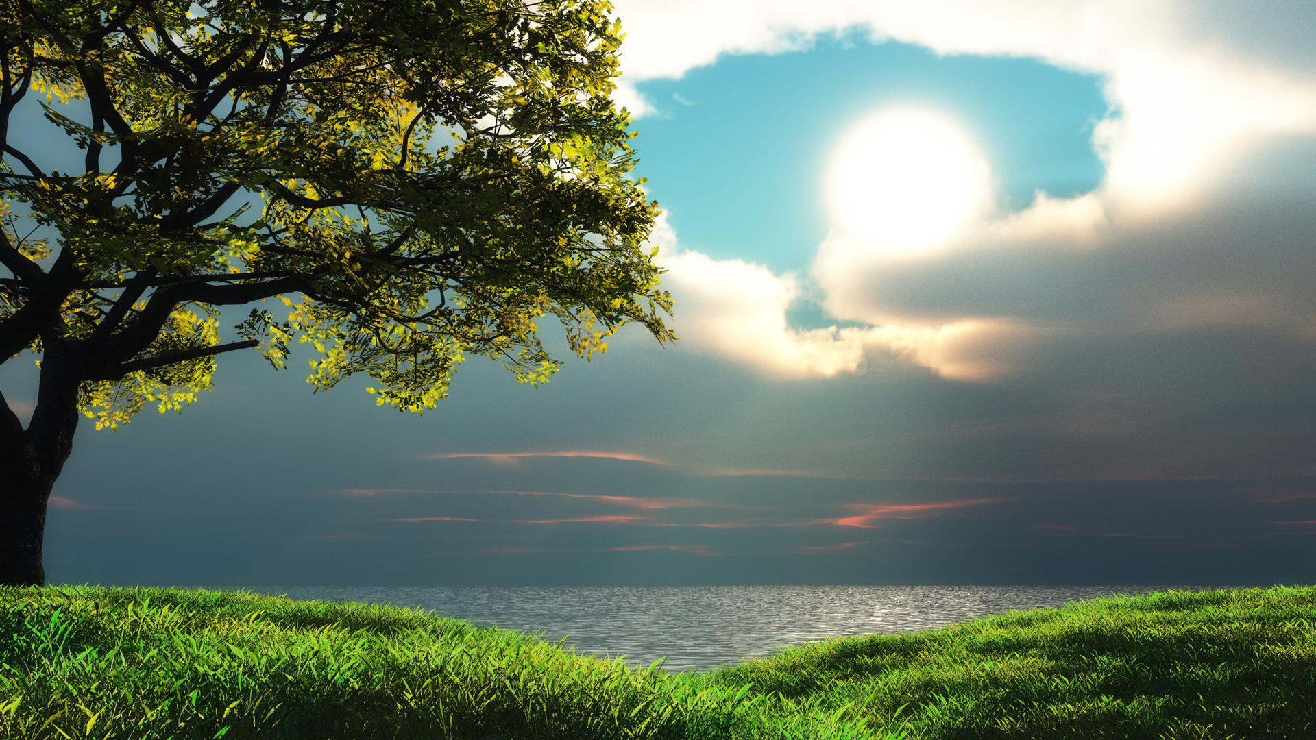 Albero, Mare, Sole, Prato, sfondo per desktop