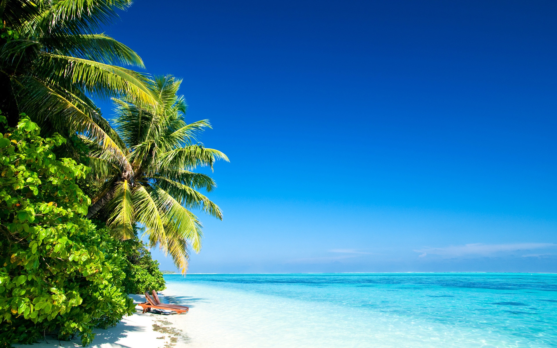 Spiaggia tropicale, Palme, Acqua turchese, Sabbia bianca, Full HD, sfondo per portatile