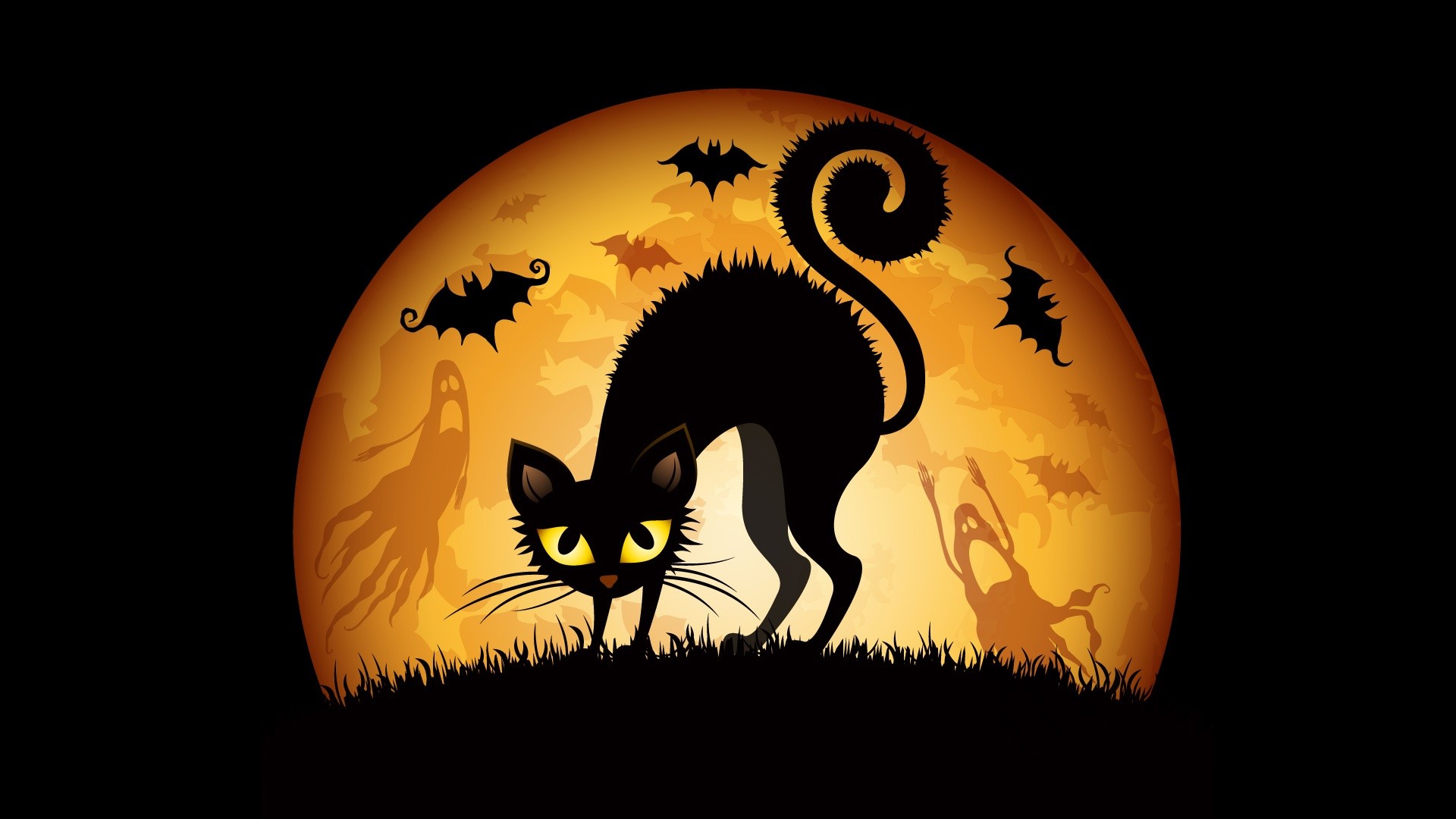 Gatto nero, Luna piena, Pipistrelli, Fantasmi, Full HD, wallpaper per computer