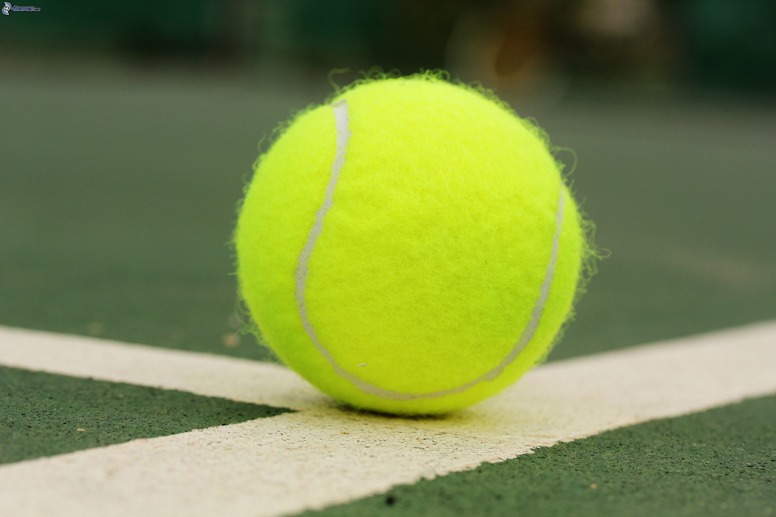 Pallina da tennis, Linea di campo, Verde, Primo piano, 2K, sfondo Windows 11