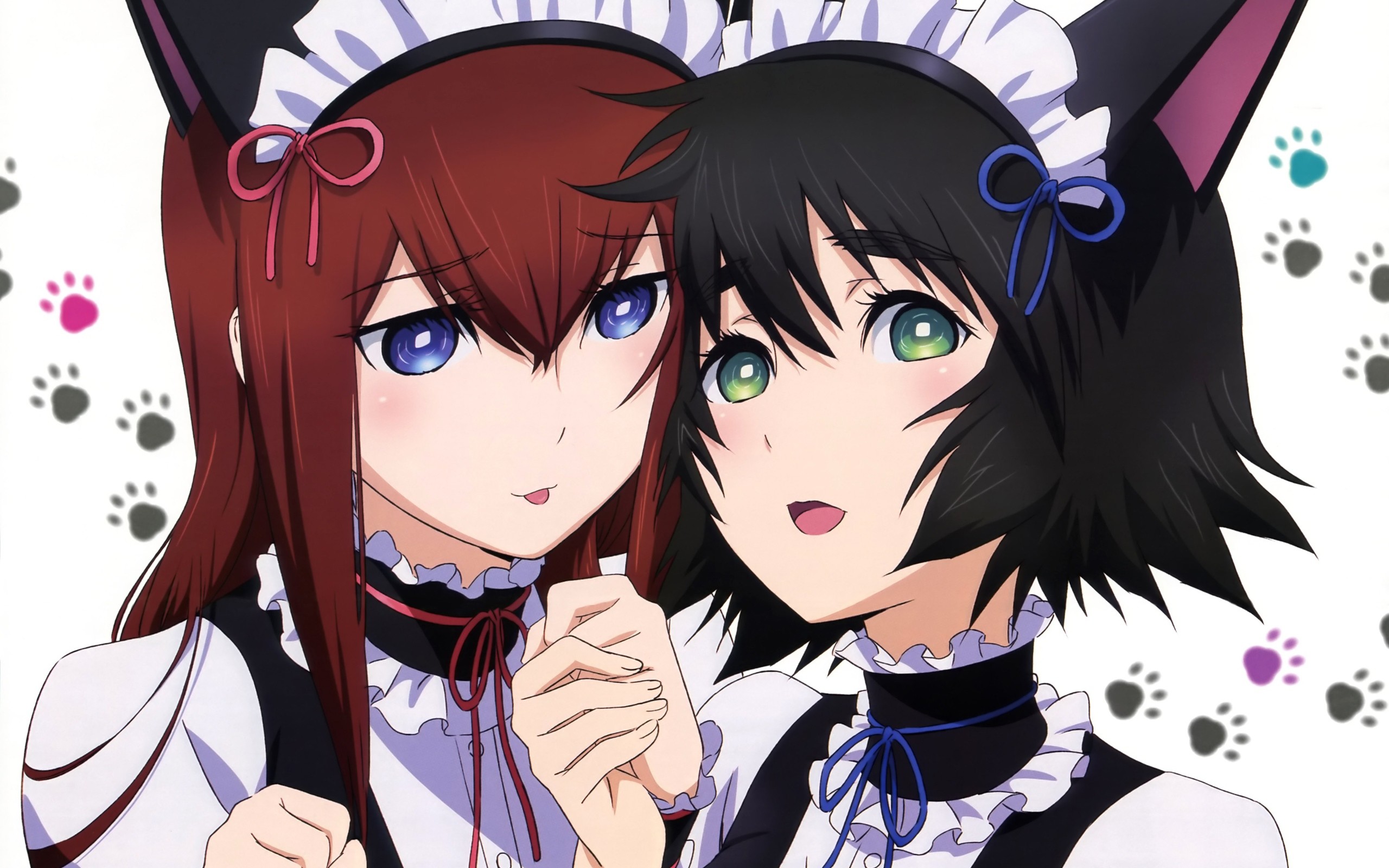 Kurisu Makise, Mayuri Shiina, Steins;Gate, Cameriera, Orecchie da gatto, sfondo 2560x1600 per PC